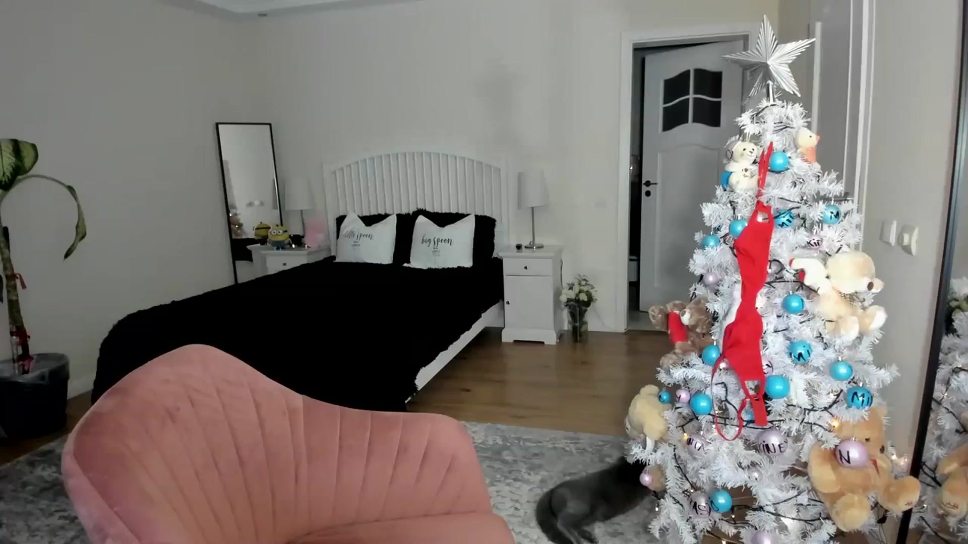 Gallery image thumbnail from TotalBella's myfreecams stream on, 12/24/2023, 02:29 image 7 of 20
