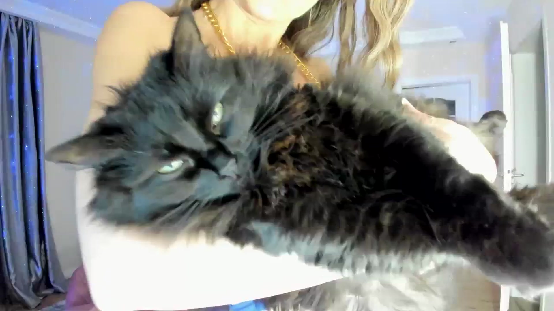 Gallery image thumbnail from TotalBella's myfreecams stream on, 02/07/2024, 24:48 image 16 of 20