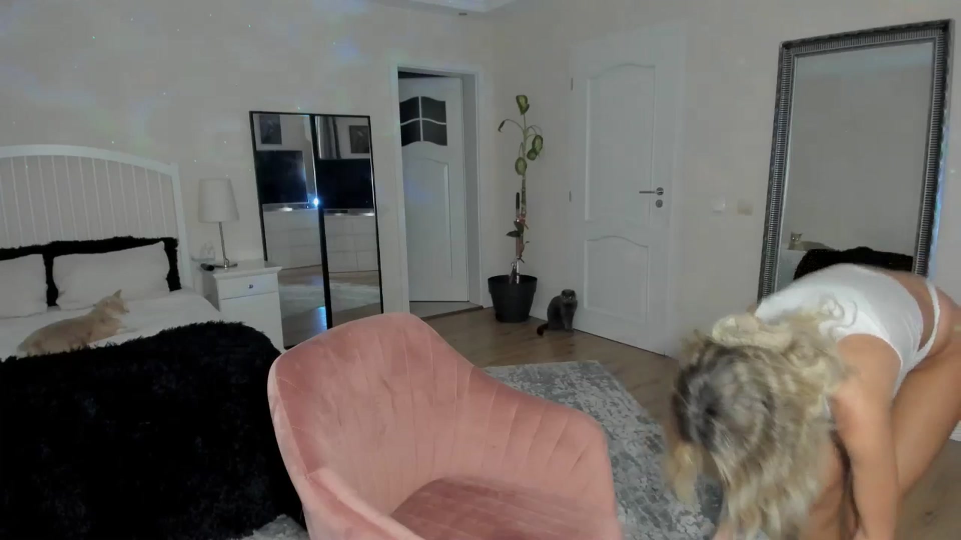 Gallery image thumbnail from TotalBella's myfreecams stream on, 10/05/2024, 24:04 image 7 of 20