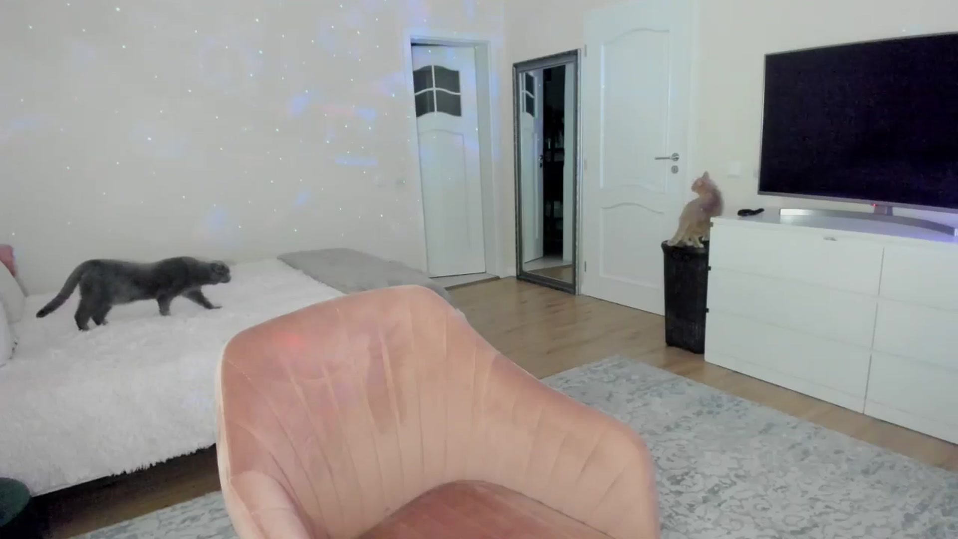 Gallery image thumbnail from TotalBella's myfreecams stream on, 11/12/2024, 24:10 image 16 of 20