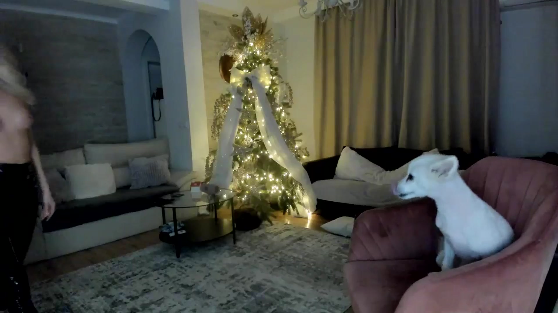 Gallery image thumbnail from TotalBella's myfreecams stream on, 12/27/2024, 02:17 image 14 of 20