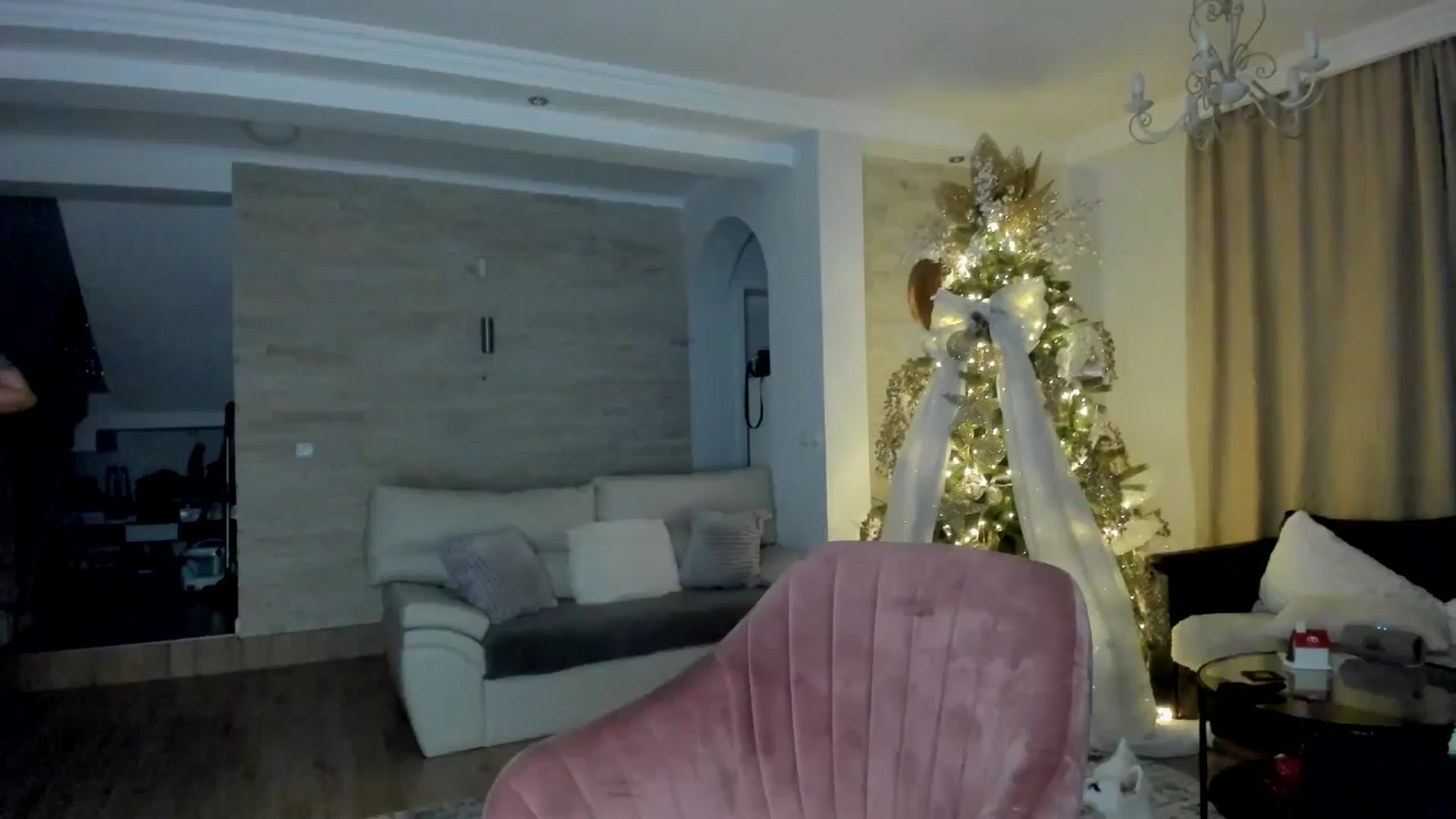 Gallery image thumbnail from TotalBella's myfreecams stream on, 12/28/2024, 01:54 image 1 of 20