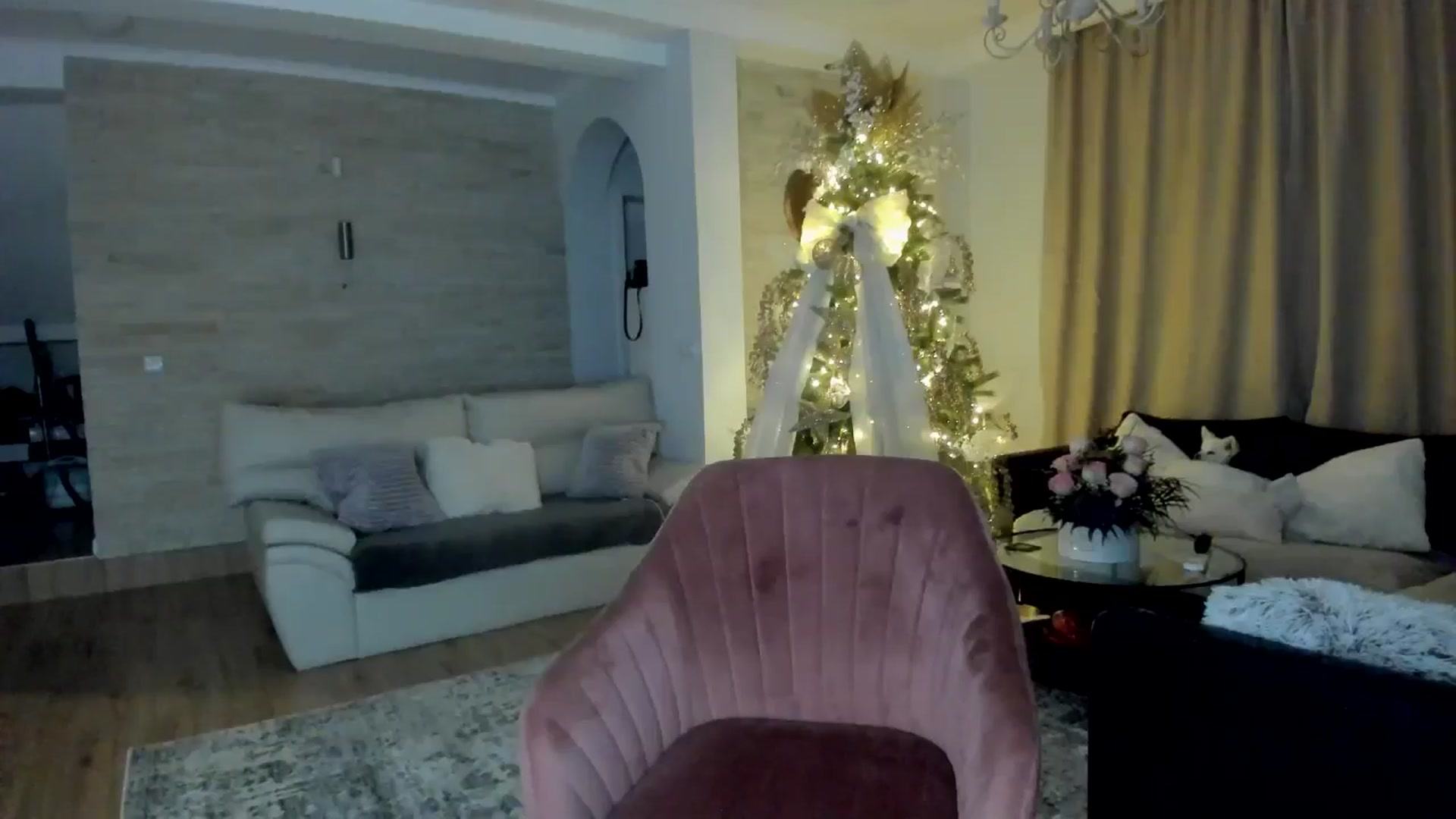 Gallery image thumbnail from TotalBella's myfreecams stream on, 12/29/2024, 02:10 image 4 of 20