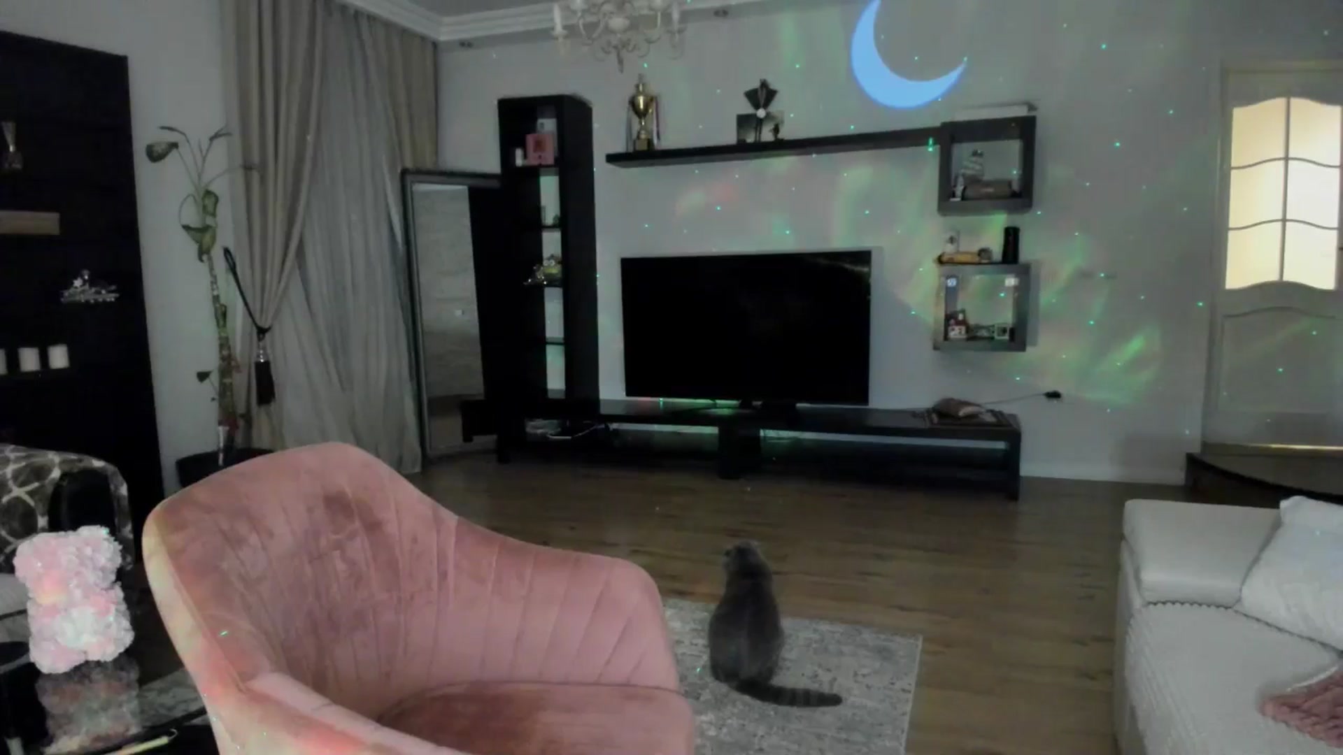 Gallery image thumbnail from TotalBella's myfreecams stream on, 03/18/2025, 22:02 image 10 of 20
