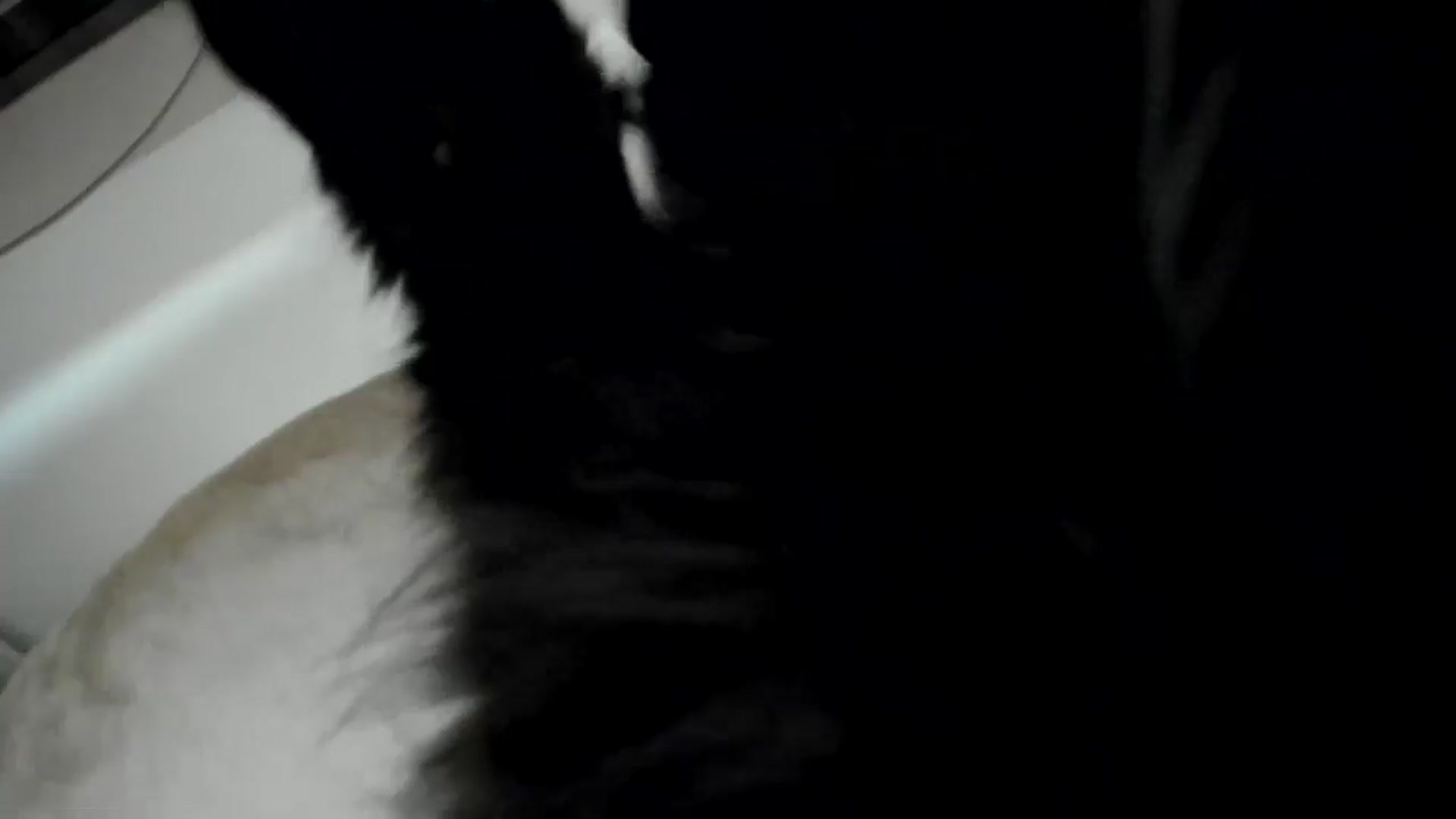 Gallery image thumbnail from TotalBella's myfreecams stream on, 02/14/2026, 01:41 image 10 of 20