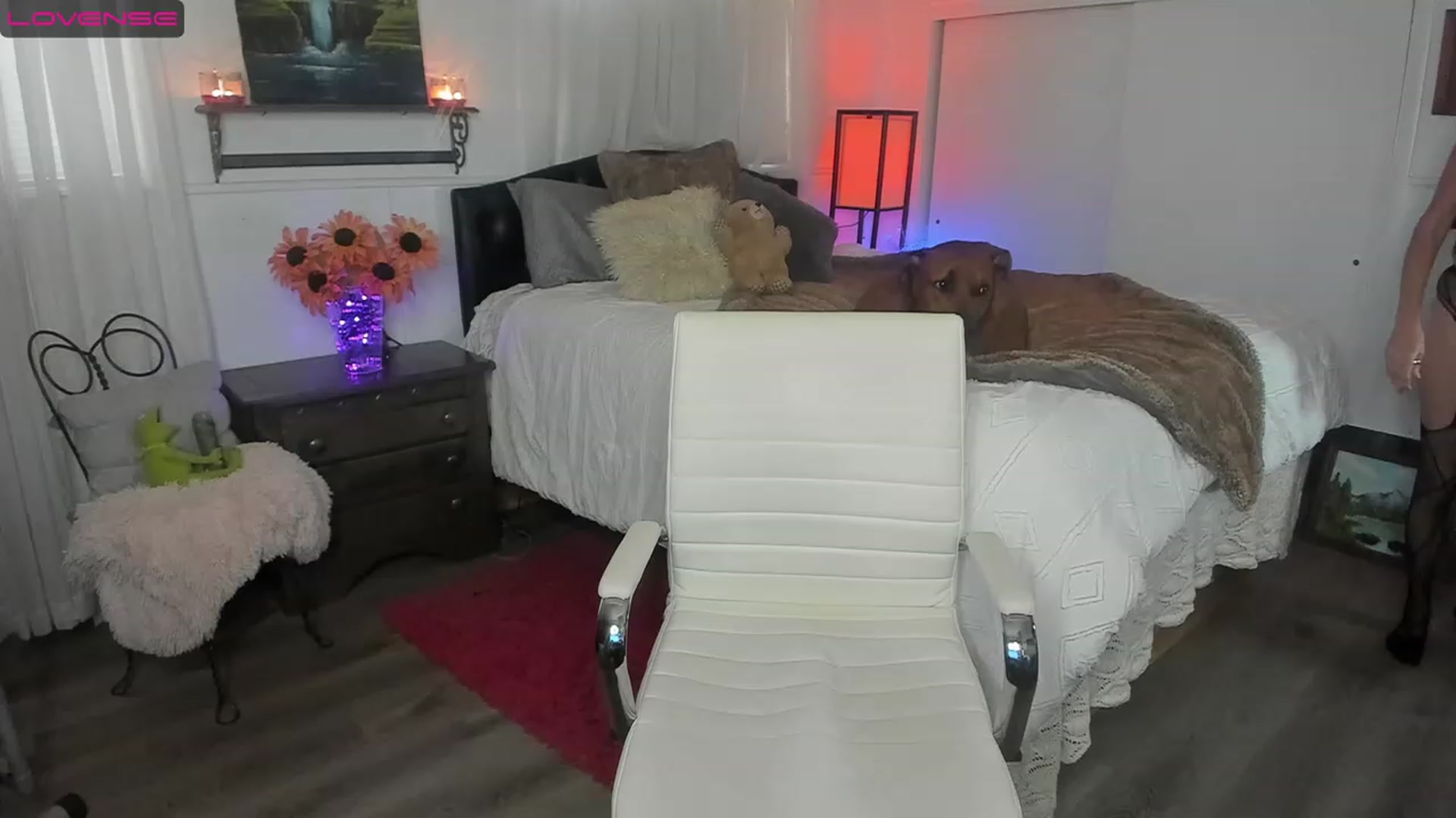 Gallery image thumbnail from Trixie55's myfreecams stream on, 11/18/2022, 21:48 image 11 of 20