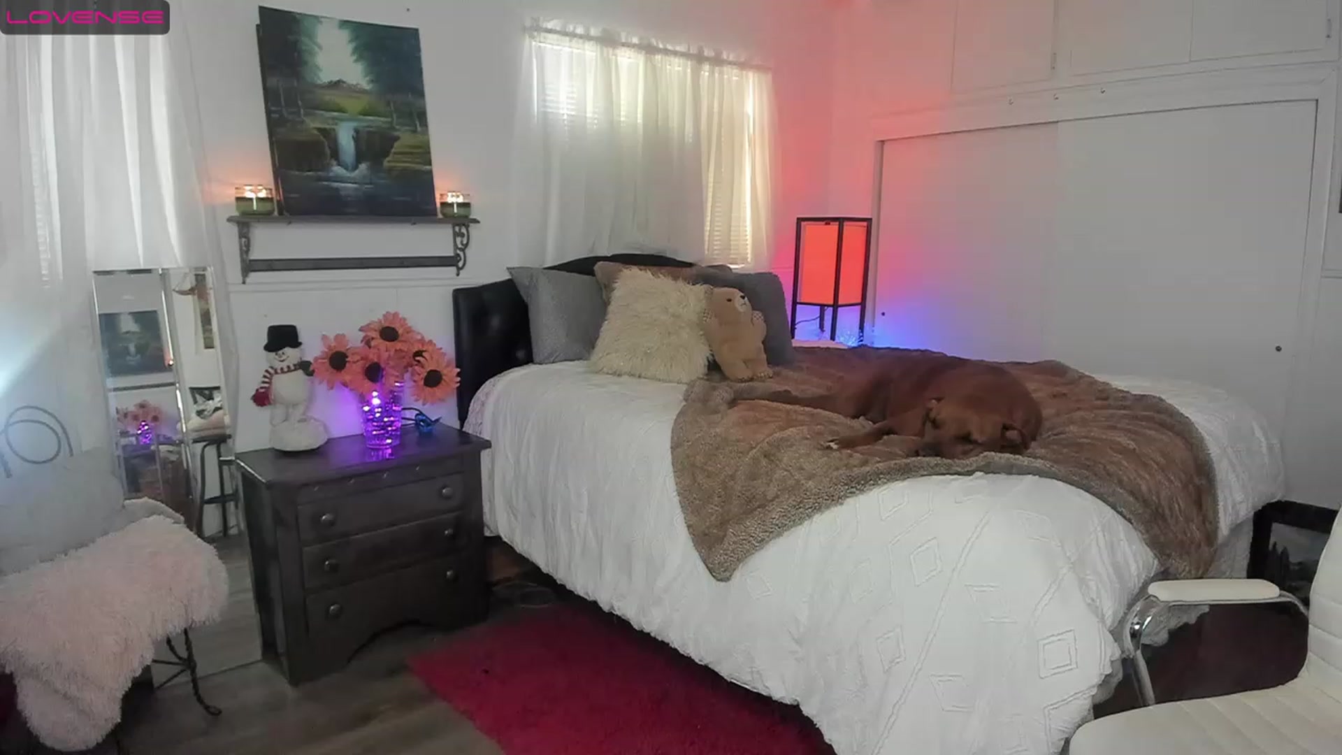 Gallery image thumbnail from Trixie55's myfreecams stream on, 11/22/2022, 23:22 image 15 of 20