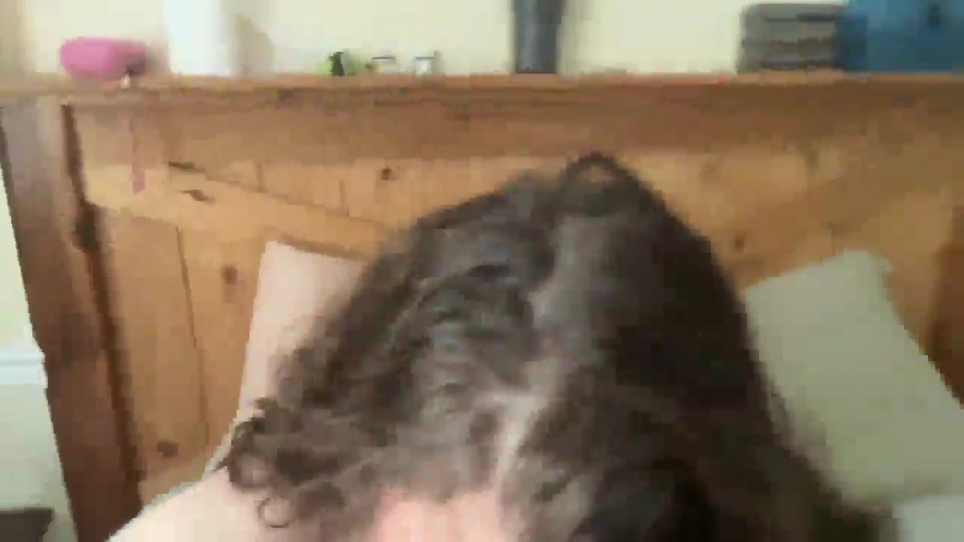 Gallery image thumbnail from Trixiegirl3's myfreecams stream on, 11/10/2025, 19:29 image 19 of 20