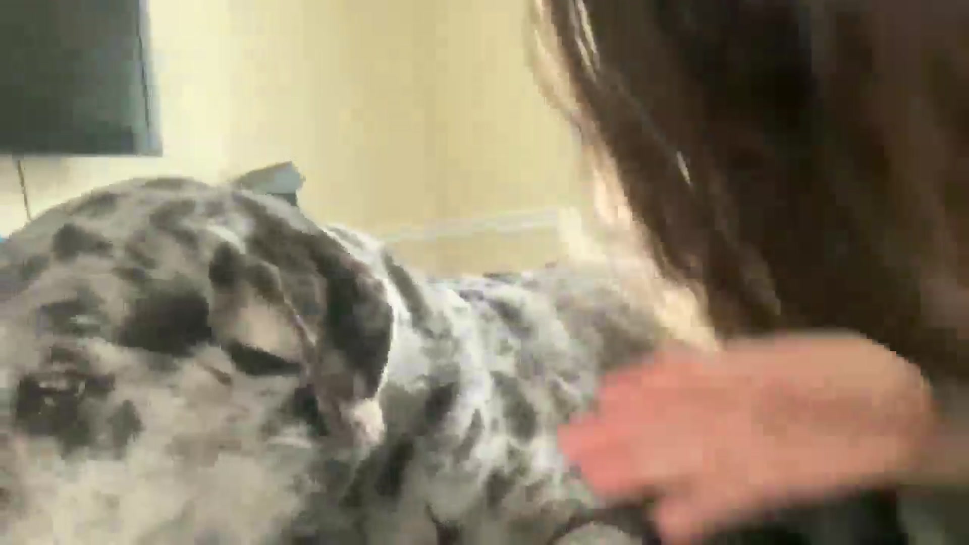Gallery image thumbnail from Trixiegirl3's myfreecams stream on, 04/15/2026, 22:48 image 14 of 20