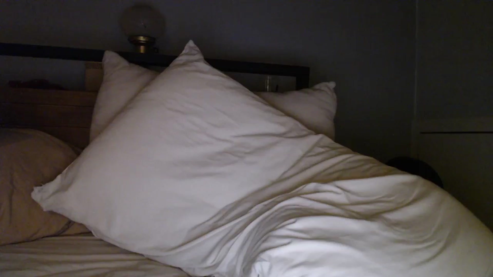 Gallery image thumbnail from TrojiesHoney's myfreecams stream on, 03/17/2026, 04:57 image 9 of 20