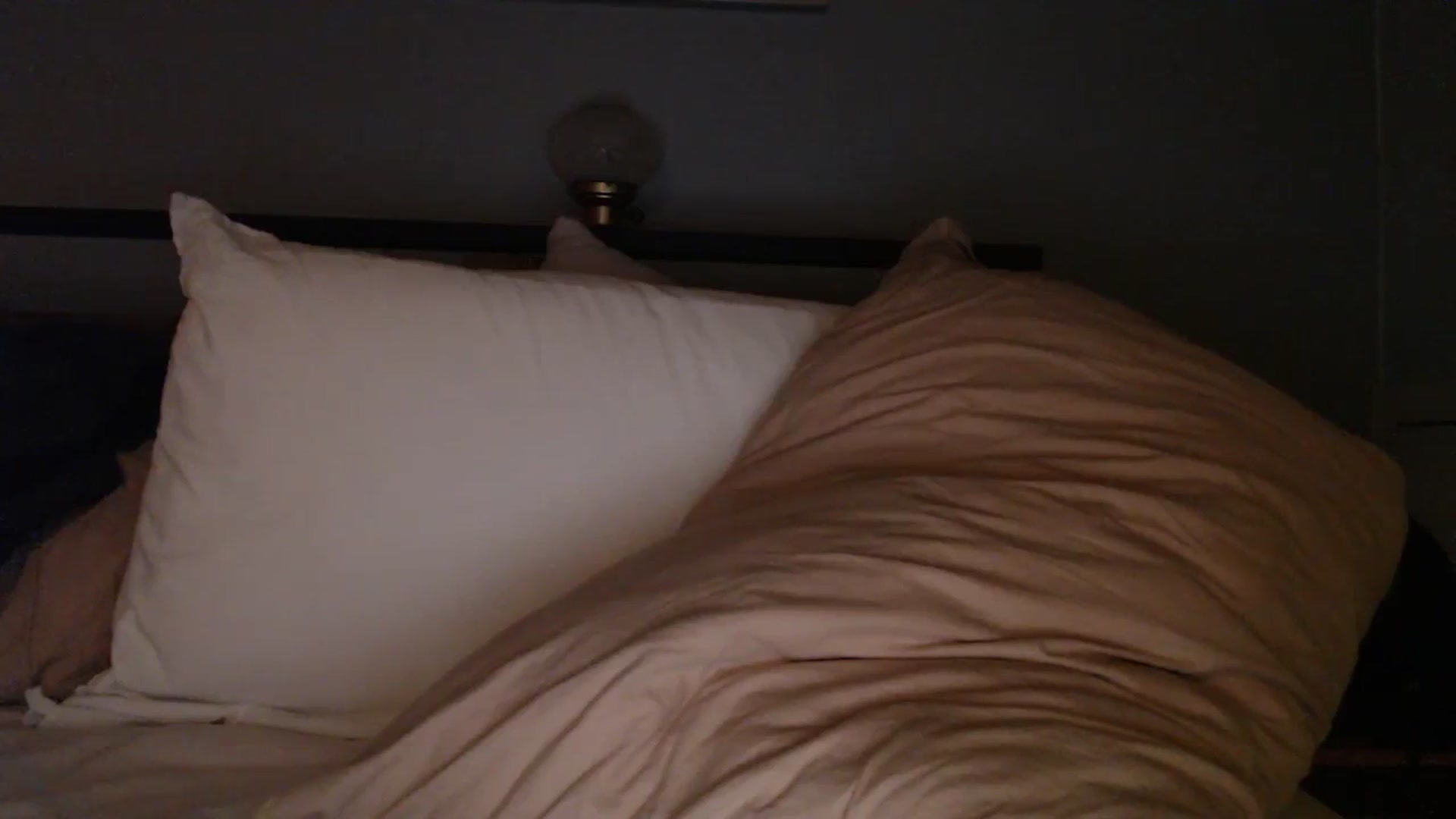 Gallery image thumbnail from TrojiesHoney's myfreecams stream on, 03/18/2026, 02:21 image 9 of 20