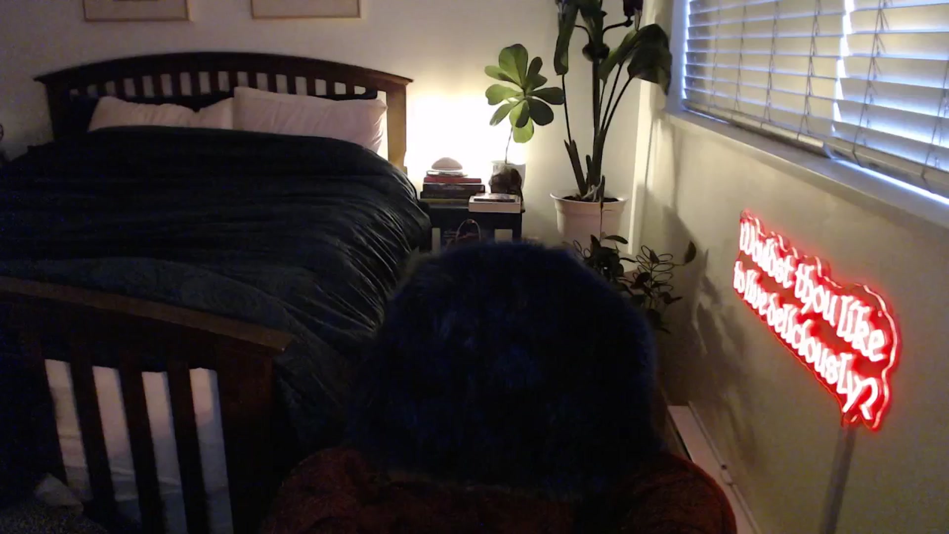 Gallery image thumbnail from TrojiesHoney's myfreecams stream on, 03/23/2026, 02:16 image 18 of 20