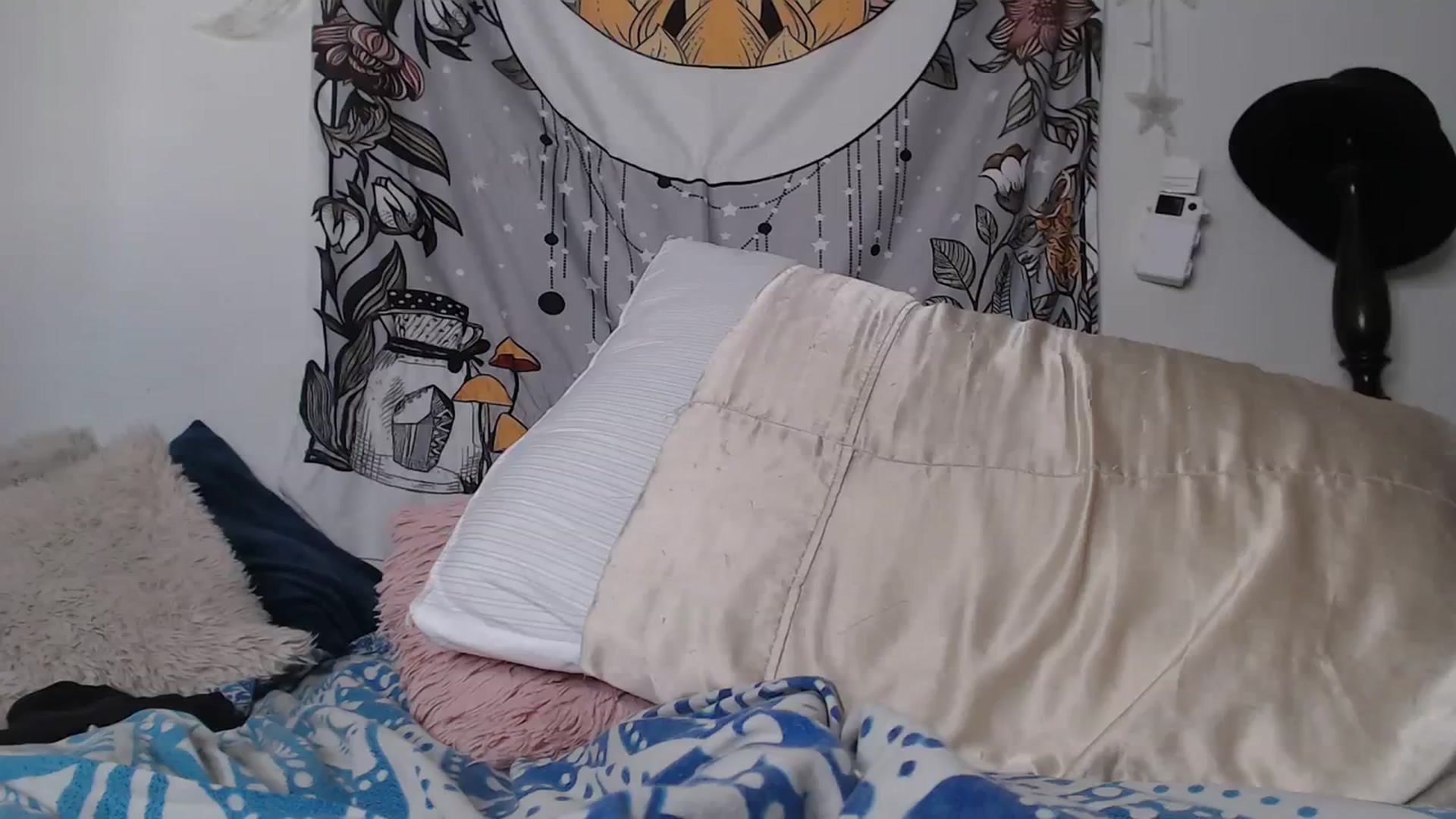 Gallery image thumbnail from TrollopTaylor's myfreecams stream on, 03/08/2024, 21:11 image 16 of 20
