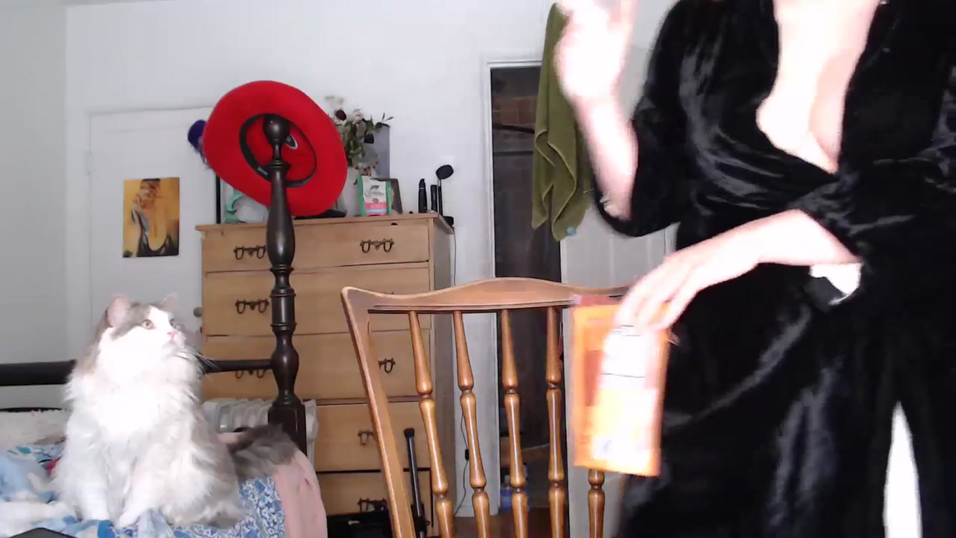 Gallery image thumbnail from TrollopTaylor's myfreecams stream on, 03/14/2024, 21:03 image 10 of 20