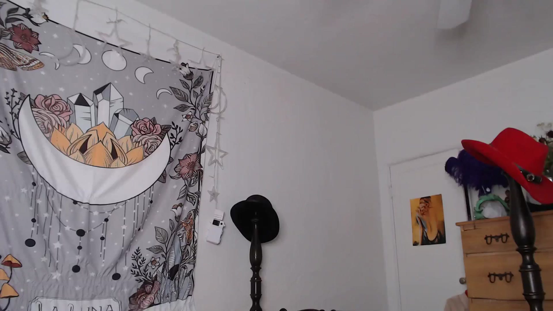 Gallery image thumbnail from TrollopTaylor's myfreecams stream on, 03/17/2024, 23:18 image 4 of 20