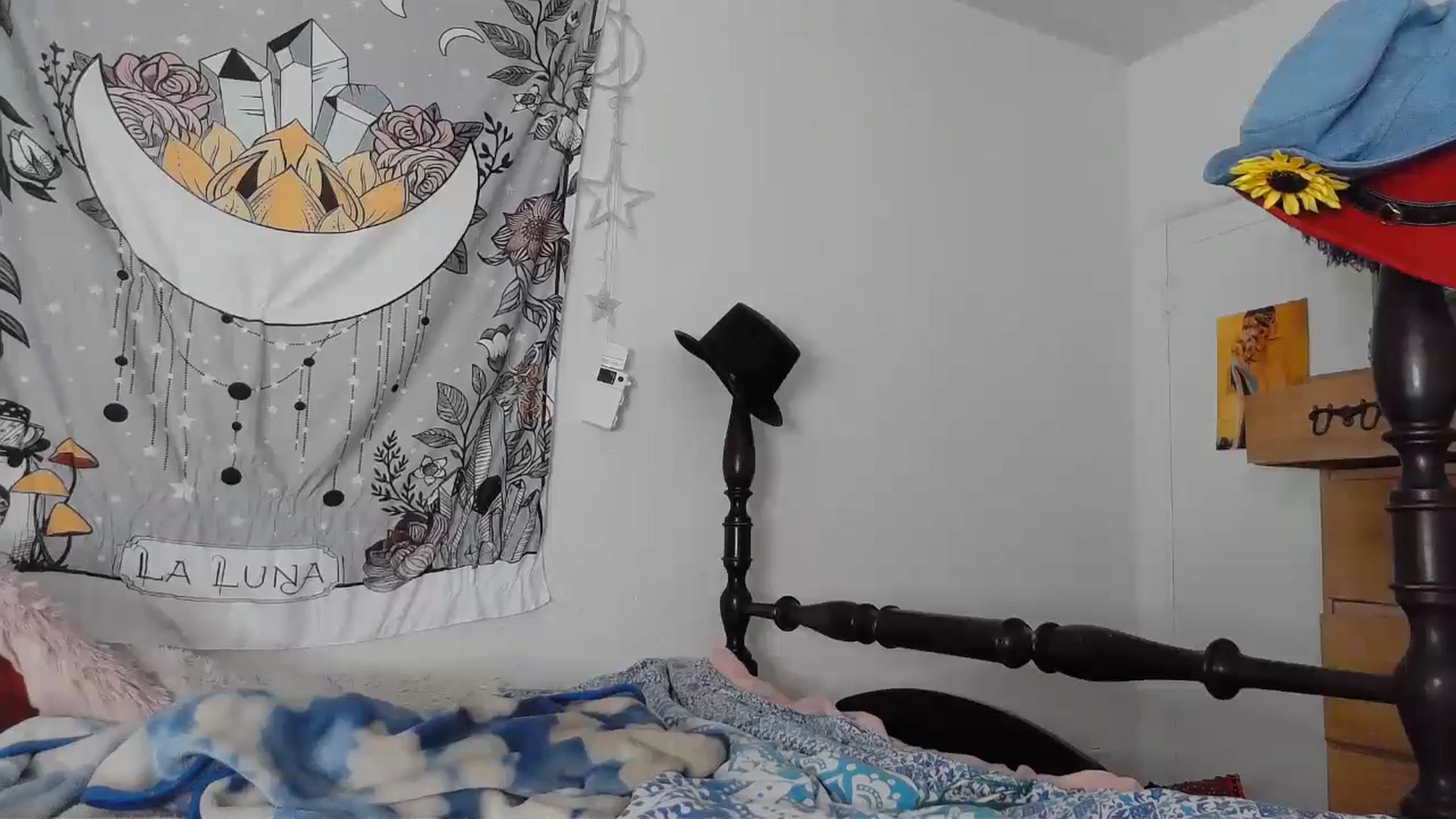 Gallery image thumbnail from TrollopTaylor's myfreecams stream on, 04/21/2024, 20:56 image 7 of 20