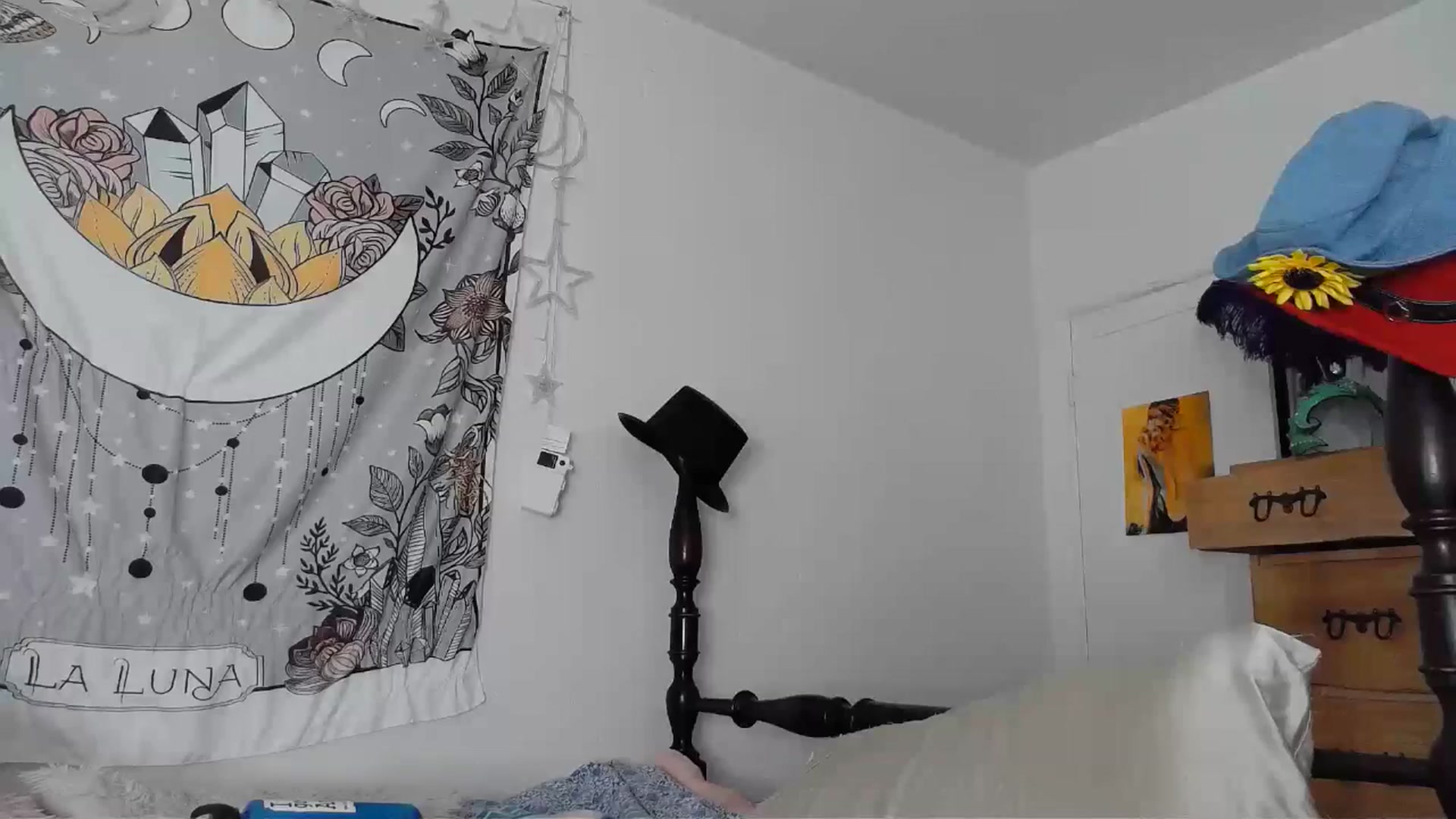 Gallery image thumbnail from TrollopTaylor's myfreecams stream on, 04/21/2024, 21:16 image 20 of 20