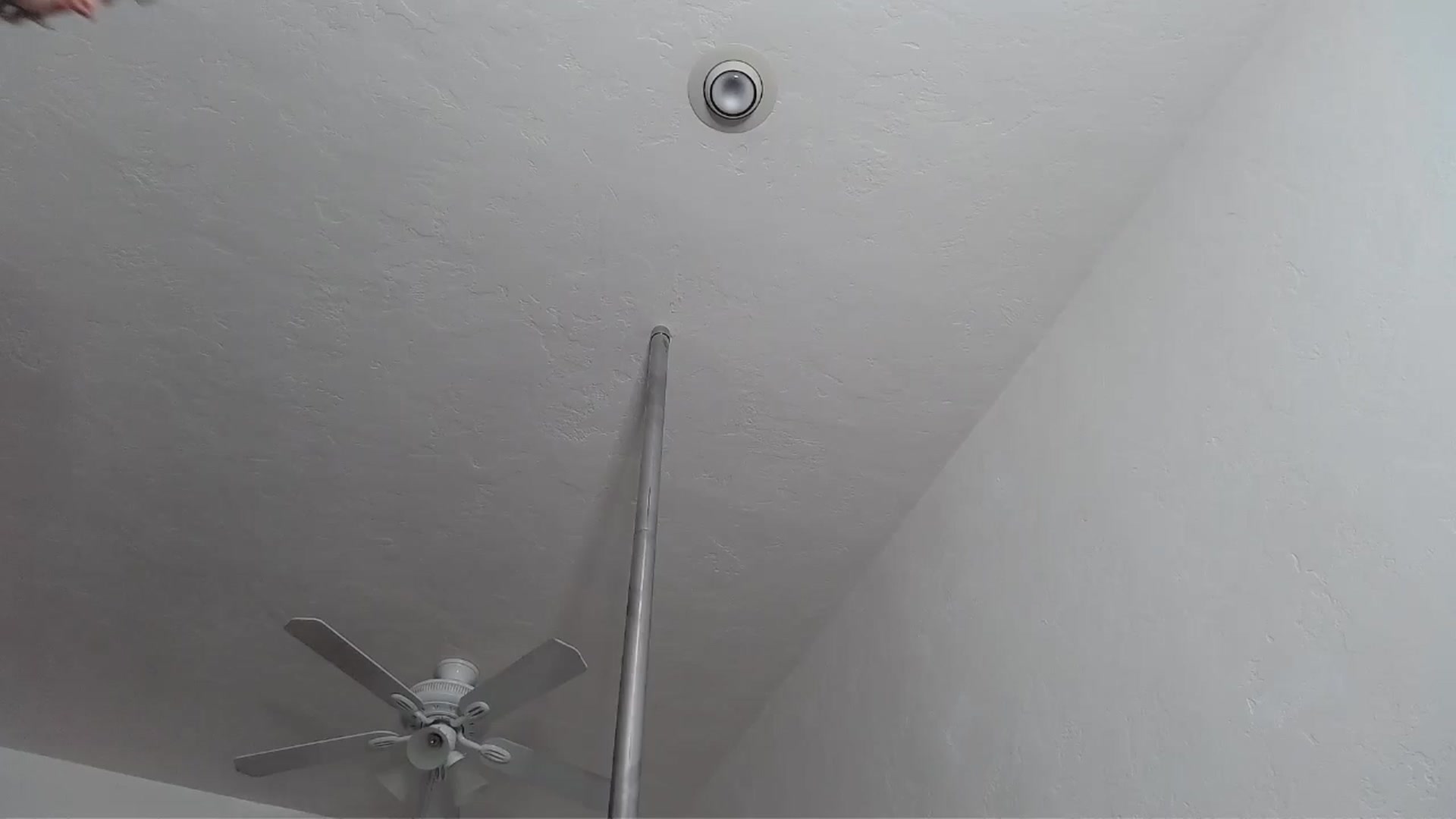 Gallery image thumbnail from TrollopTaylor's myfreecams stream on, 05/01/2024, 24:01 image 10 of 20