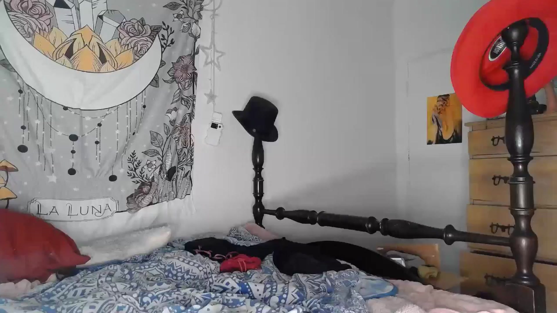 Gallery image thumbnail from TrollopTaylor's myfreecams stream on, 05/14/2024, 01:17 image 15 of 20