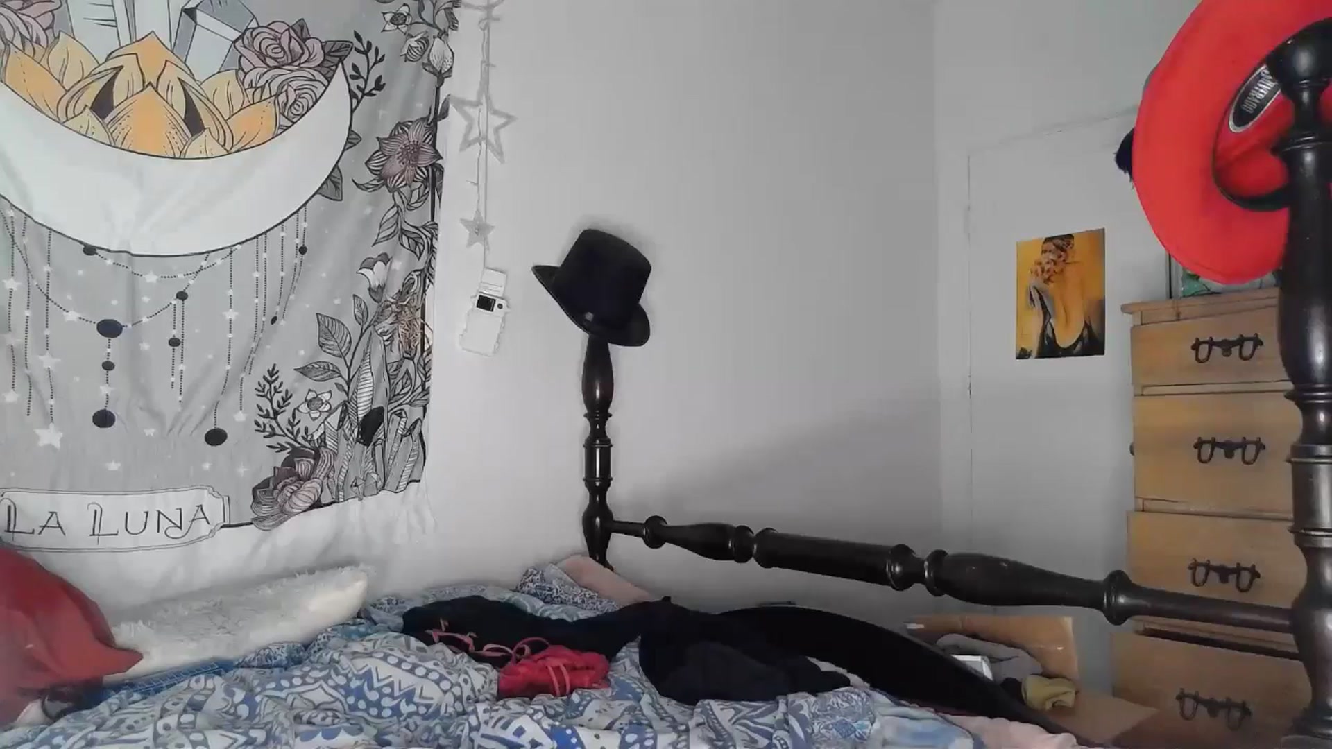 Gallery image thumbnail from TrollopTaylor's myfreecams stream on, 05/14/2024, 01:17 image 16 of 20
