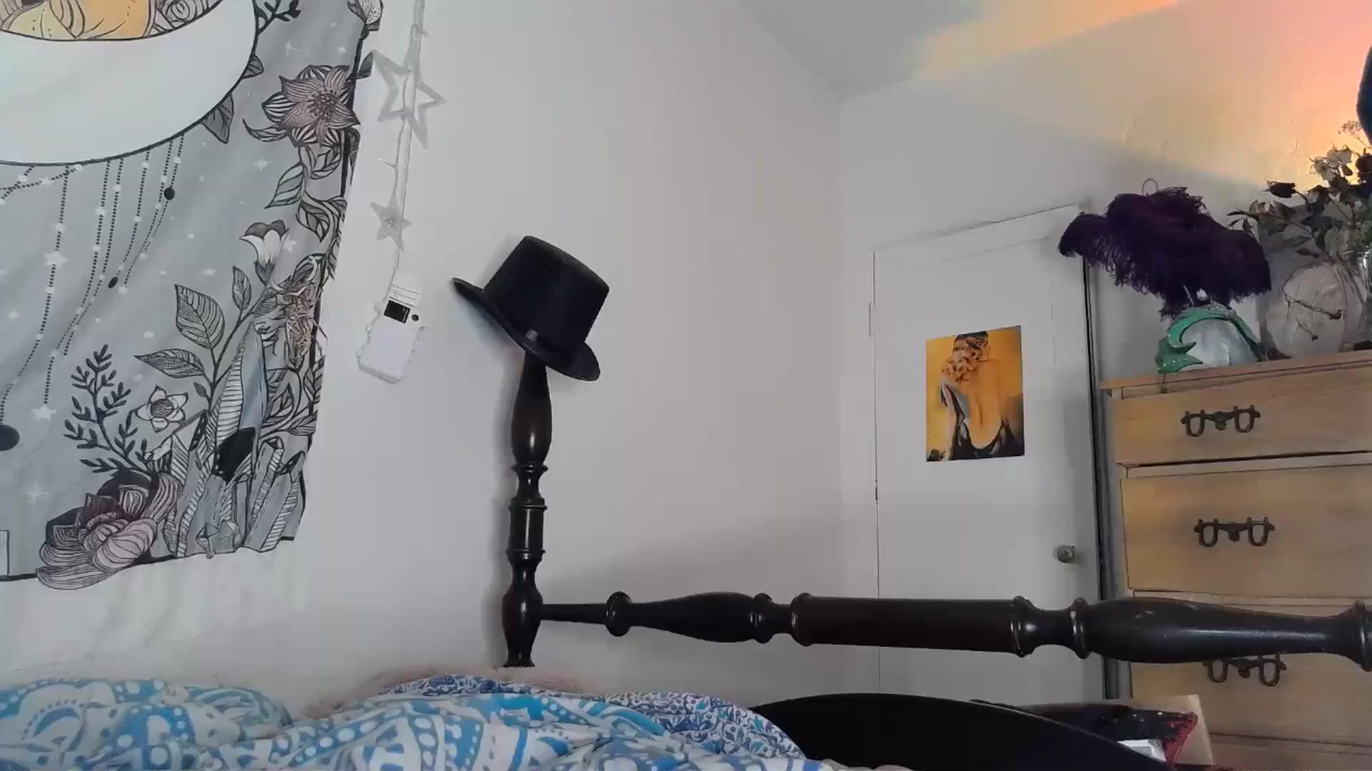 Gallery image thumbnail from TrollopTaylor's myfreecams stream on, 05/15/2024, 04:21 image 13 of 20