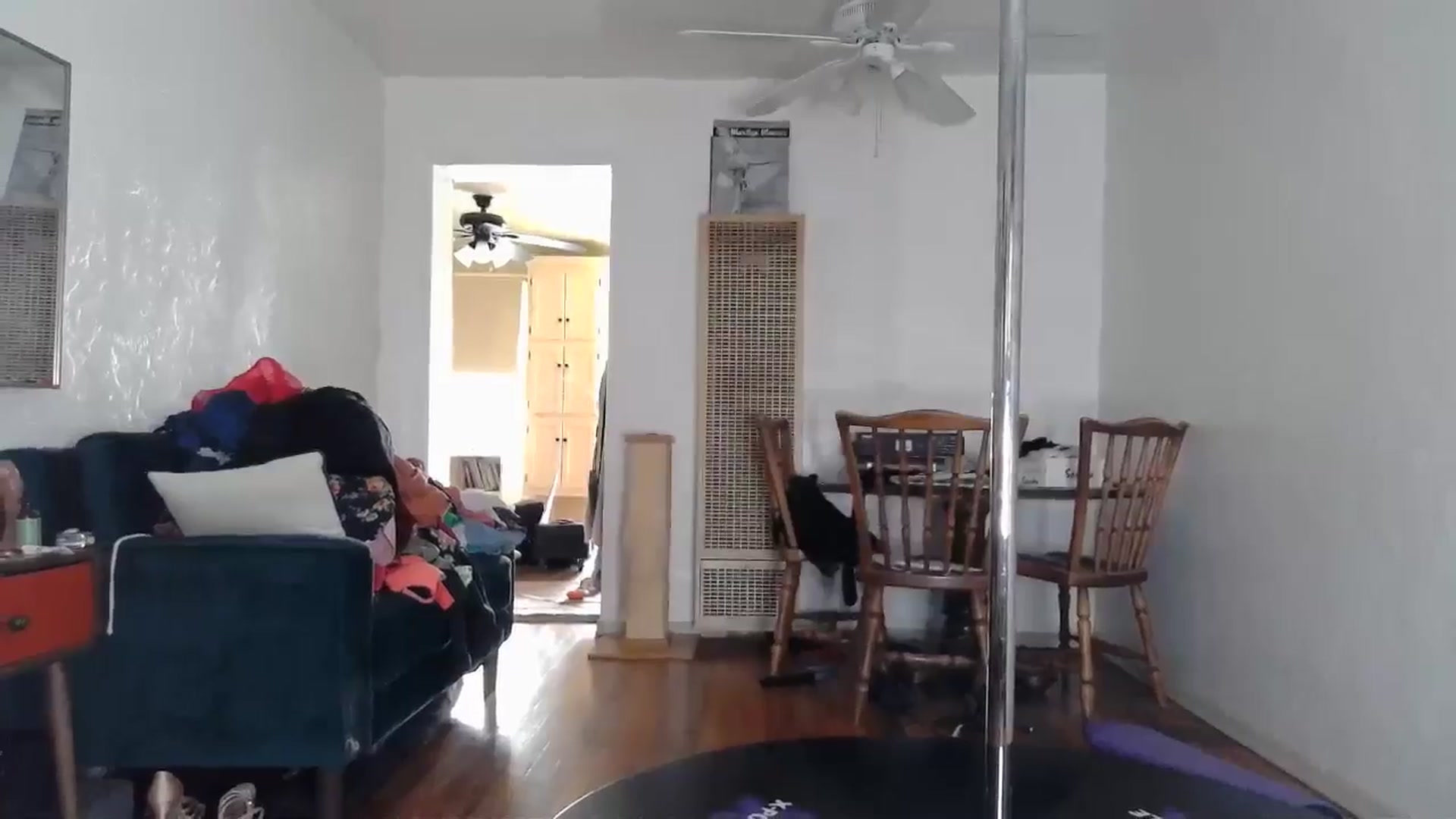Gallery image thumbnail from TrollopTaylor's myfreecams stream on, 05/24/2024, 19:17 image 2 of 20