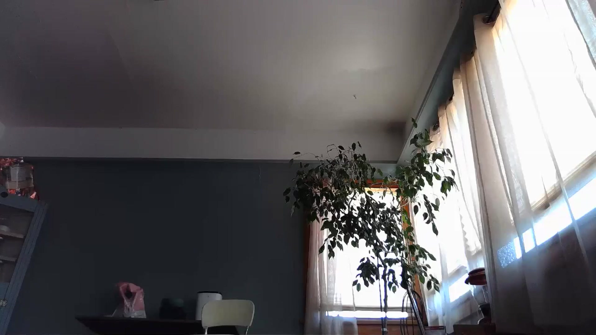 Gallery image thumbnail from TrollopTaylor's myfreecams stream on, 05/29/2024, 20:26 image 17 of 20
