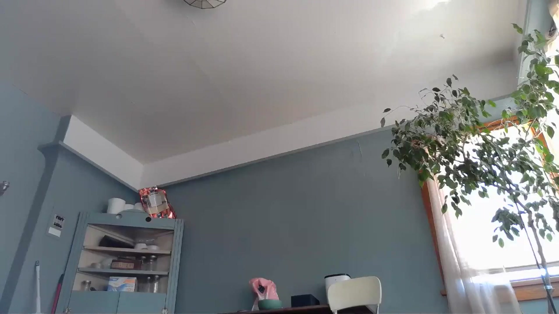 Gallery image thumbnail from TrollopTaylor's myfreecams stream on, 05/29/2024, 20:39 image 7 of 20