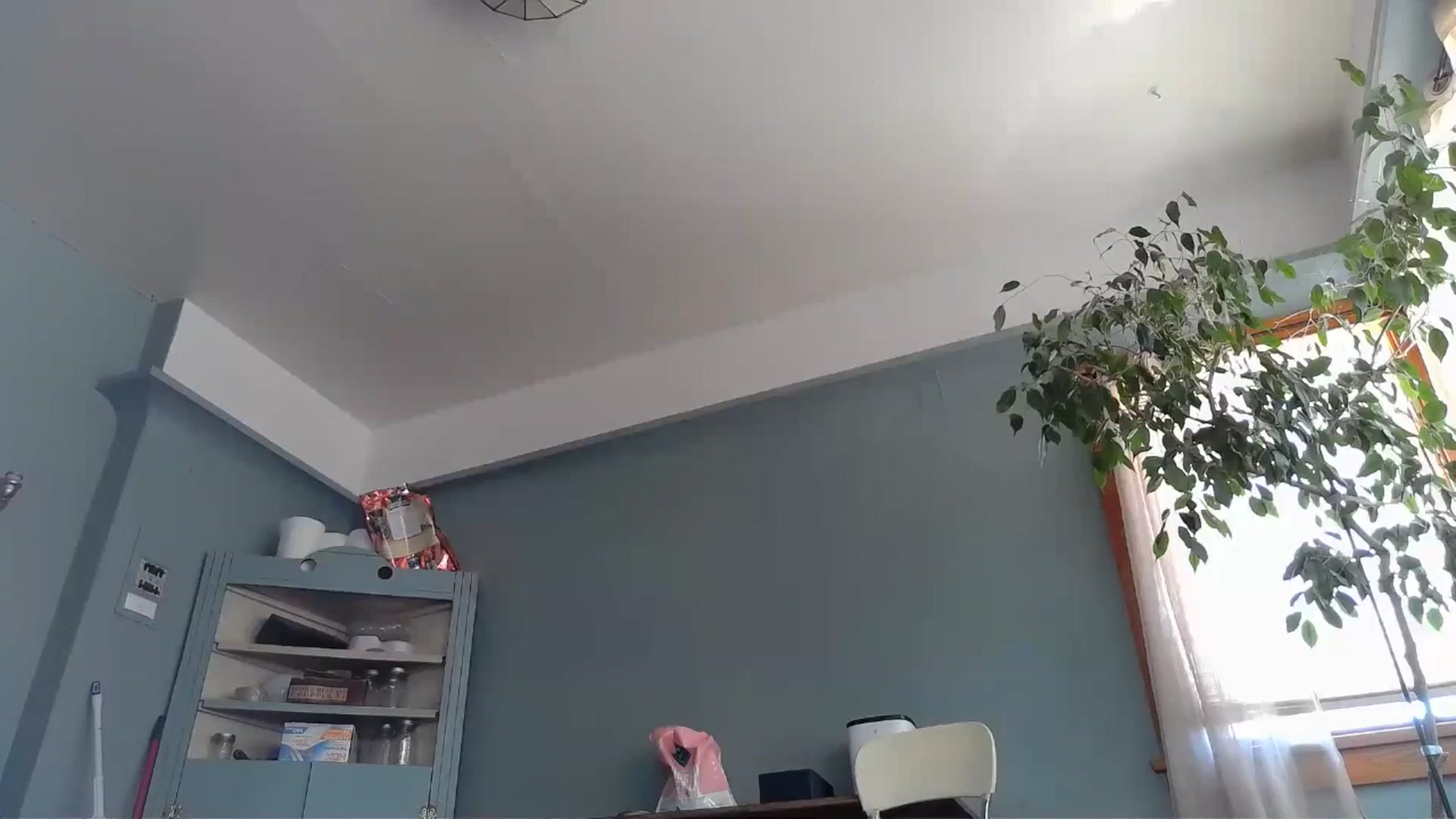 Gallery image thumbnail from TrollopTaylor's myfreecams stream on, 05/29/2024, 20:39 image 3 of 20