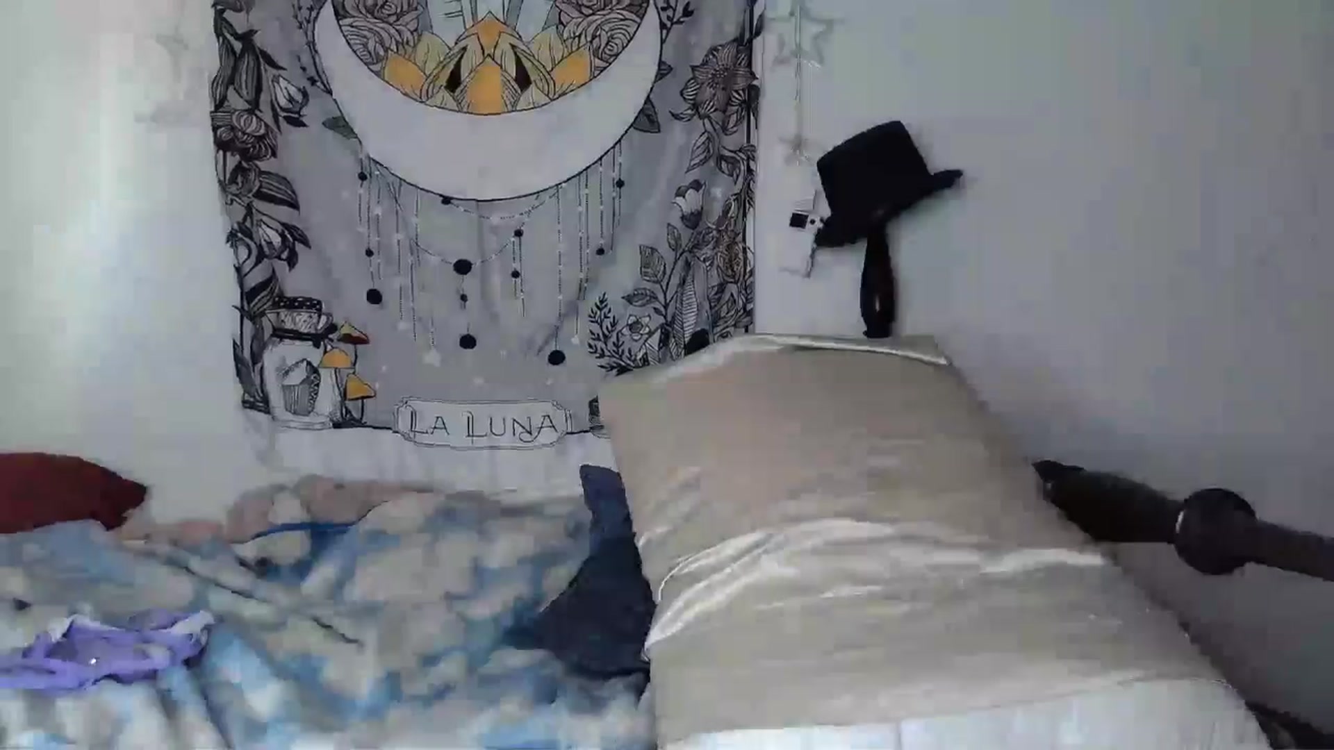 Gallery image thumbnail from TrollopTaylor's myfreecams stream on, 06/25/2024, 21:48 image 7 of 20