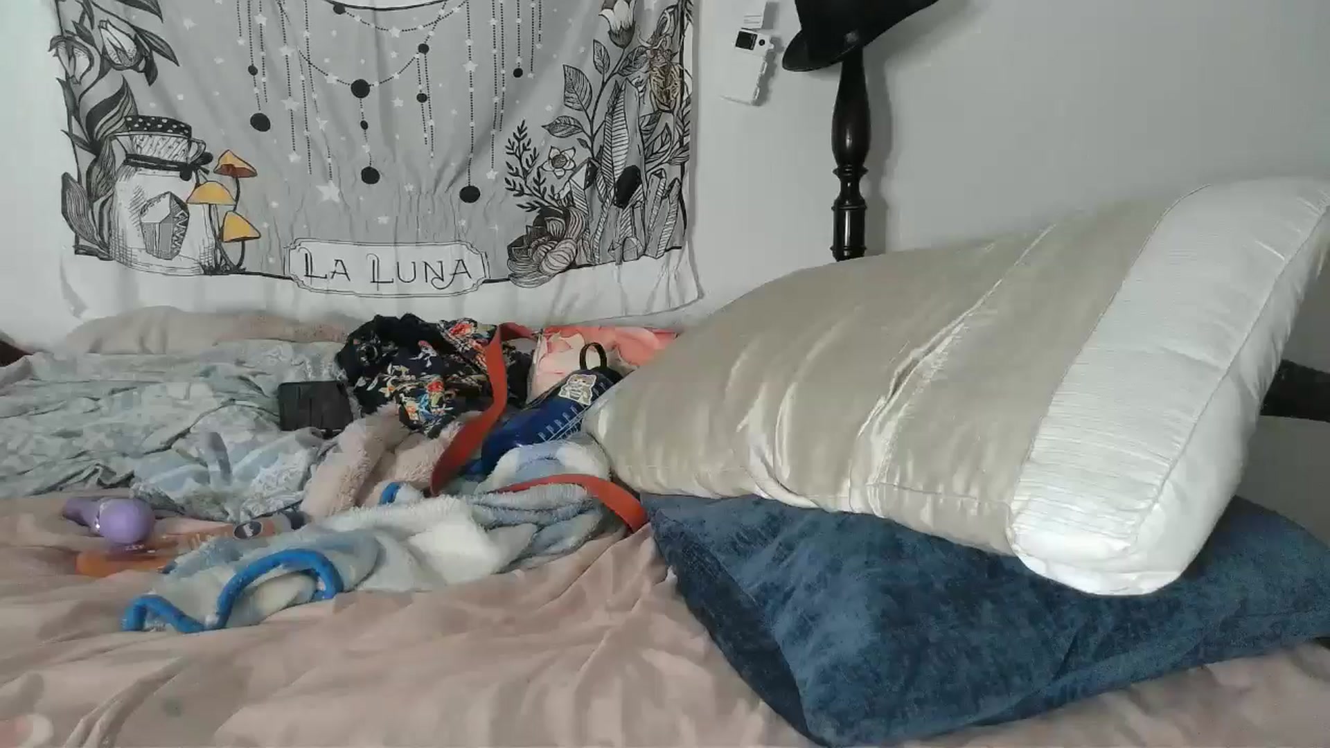 Gallery image thumbnail from TrollopTaylor's myfreecams stream on, 07/04/2024, 05:20 image 15 of 20