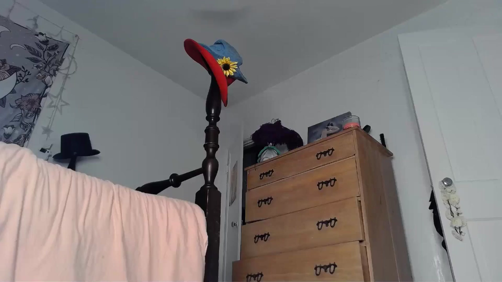 Gallery image thumbnail from TrollopTaylor's myfreecams stream on, 07/10/2024, 23:35 image 17 of 20