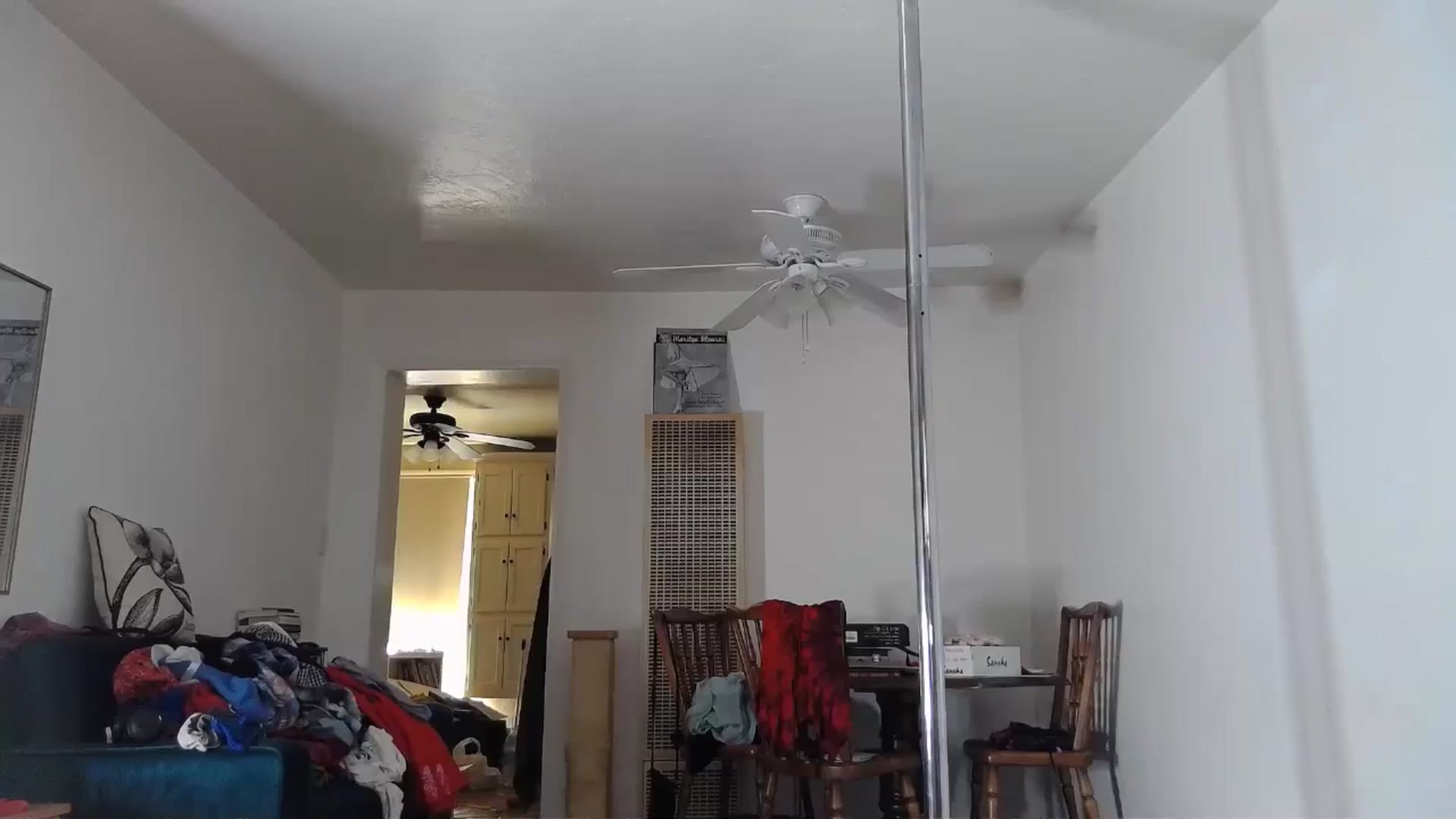 Gallery image thumbnail from TrollopTaylor's myfreecams stream on, 07/12/2024, 22:09 image 13 of 20