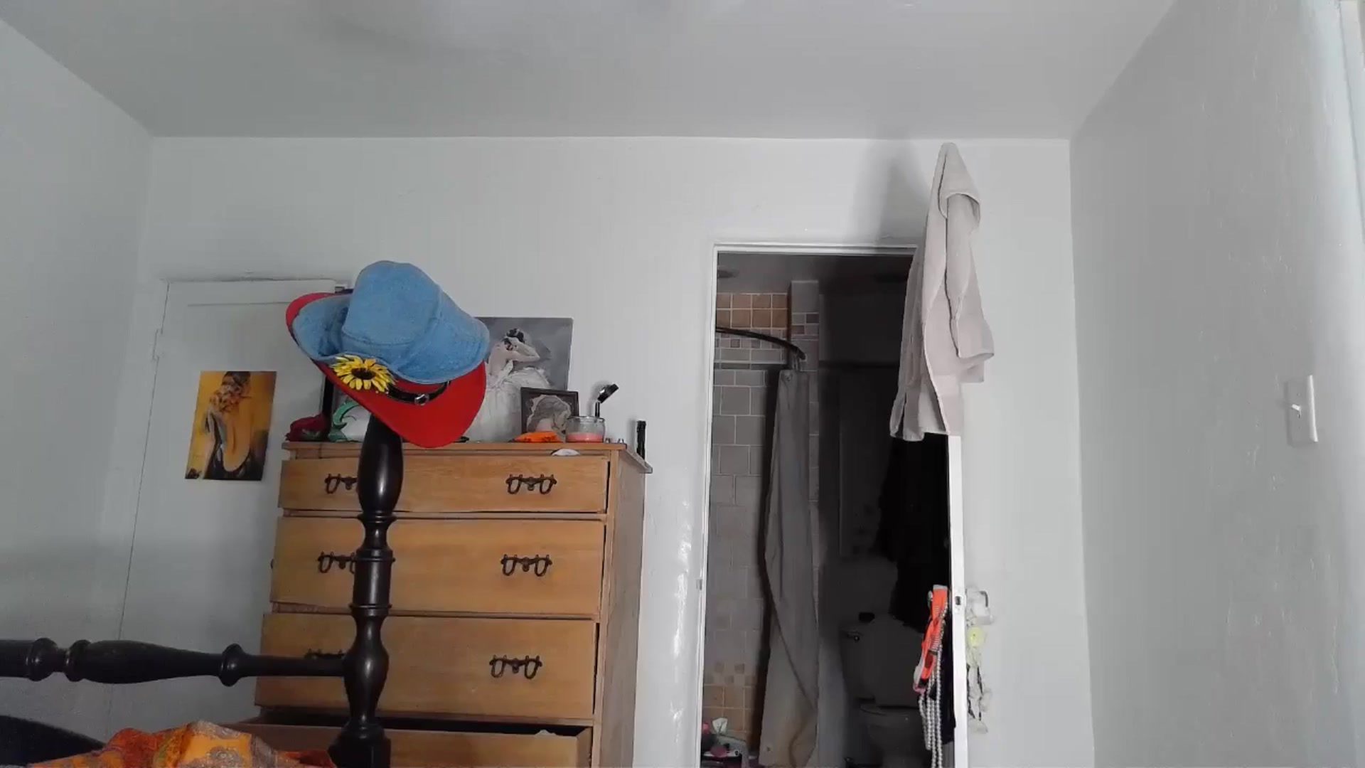 Gallery image thumbnail from TrollopTaylor's myfreecams stream on, 07/24/2024, 23:56 image 20 of 20