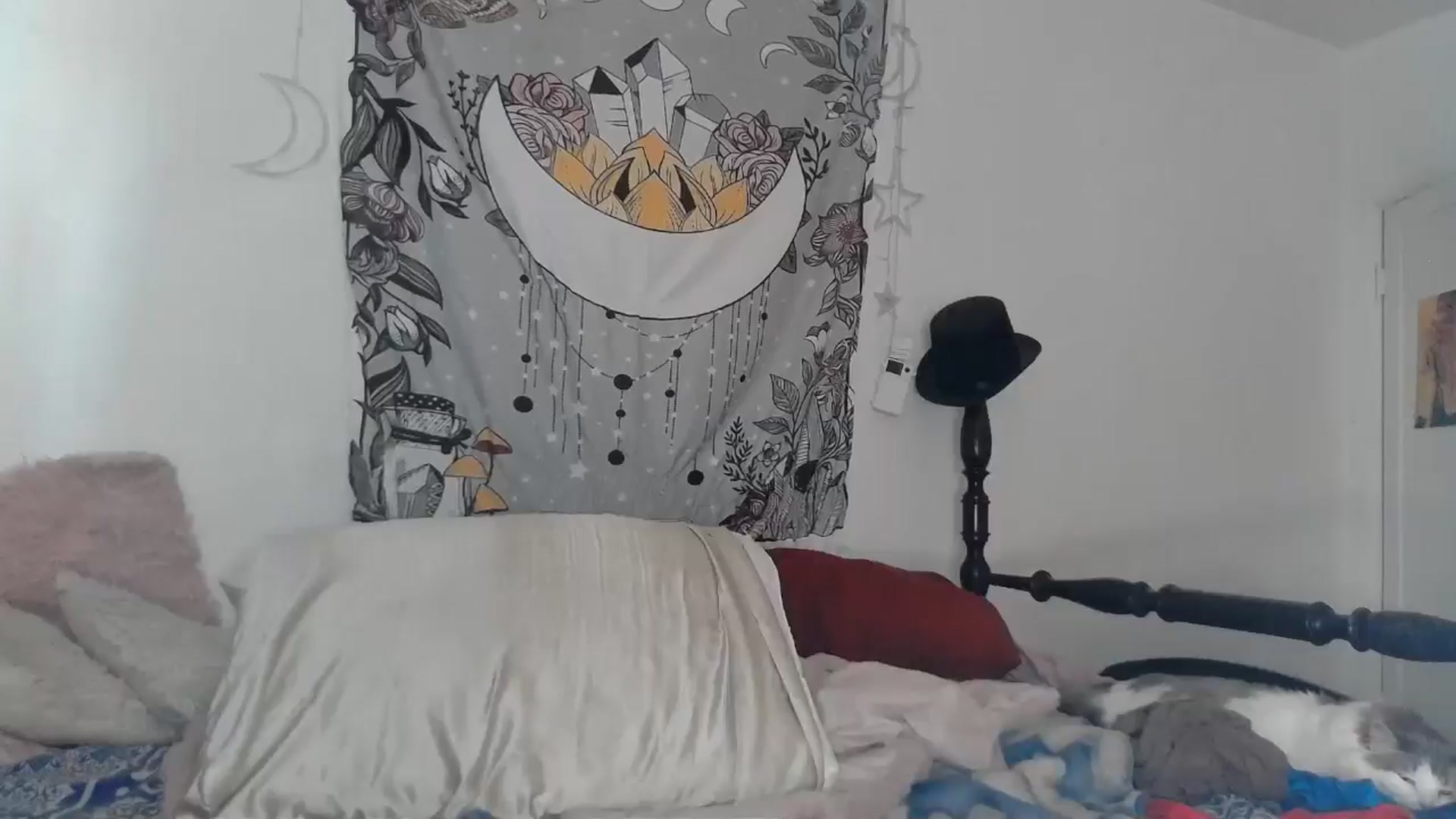 Gallery image thumbnail from TrollopTaylor's myfreecams stream on, 08/04/2024, 24:07 image 12 of 20