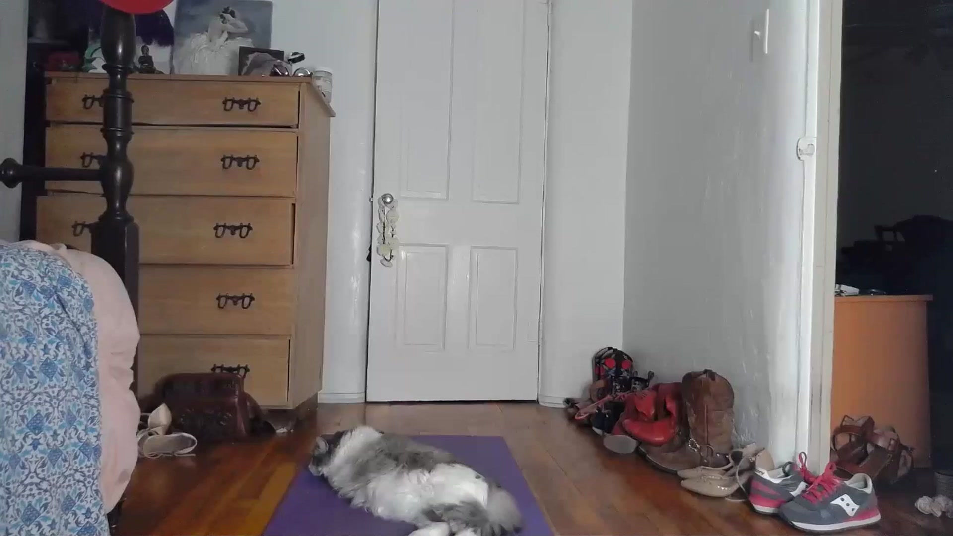 Gallery image thumbnail from TrollopTaylor's myfreecams stream on, 08/05/2024, 19:41 image 8 of 20