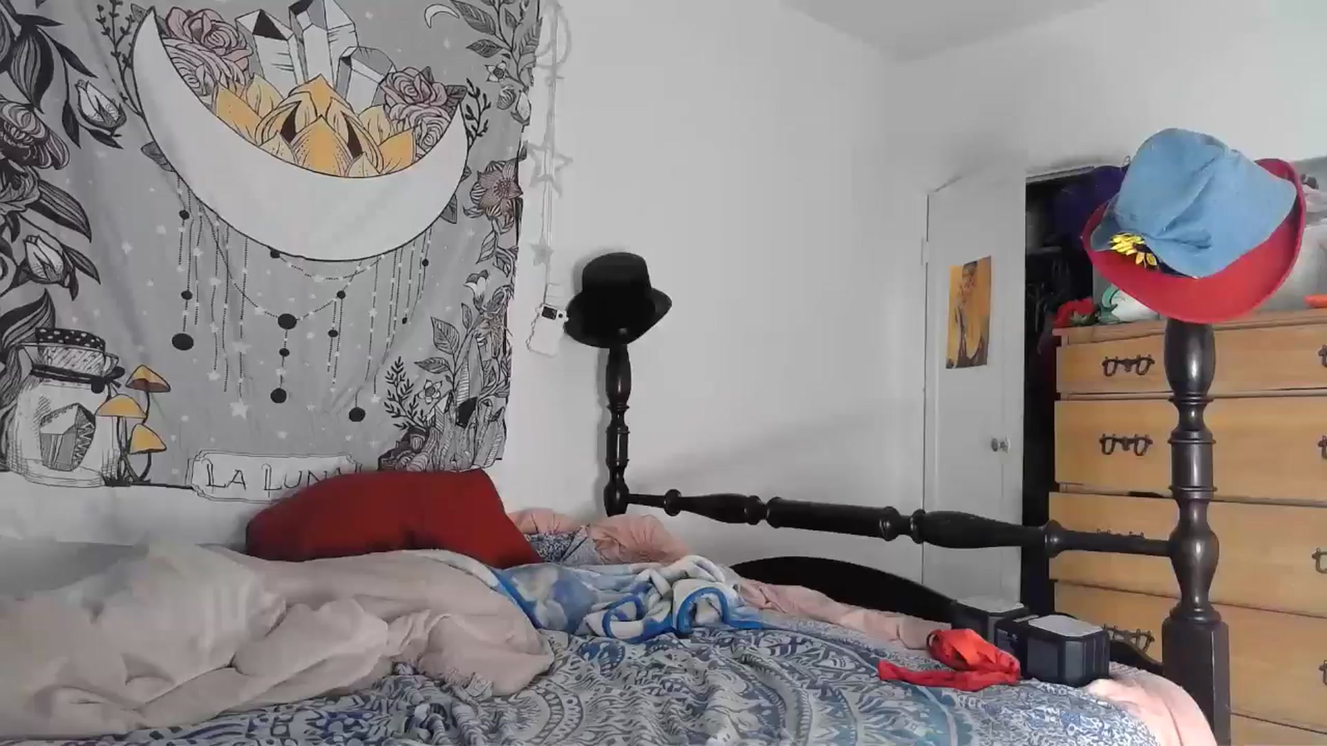 Gallery image thumbnail from TrollopTaylor's myfreecams stream on, 08/05/2024, 20:33 image 19 of 20
