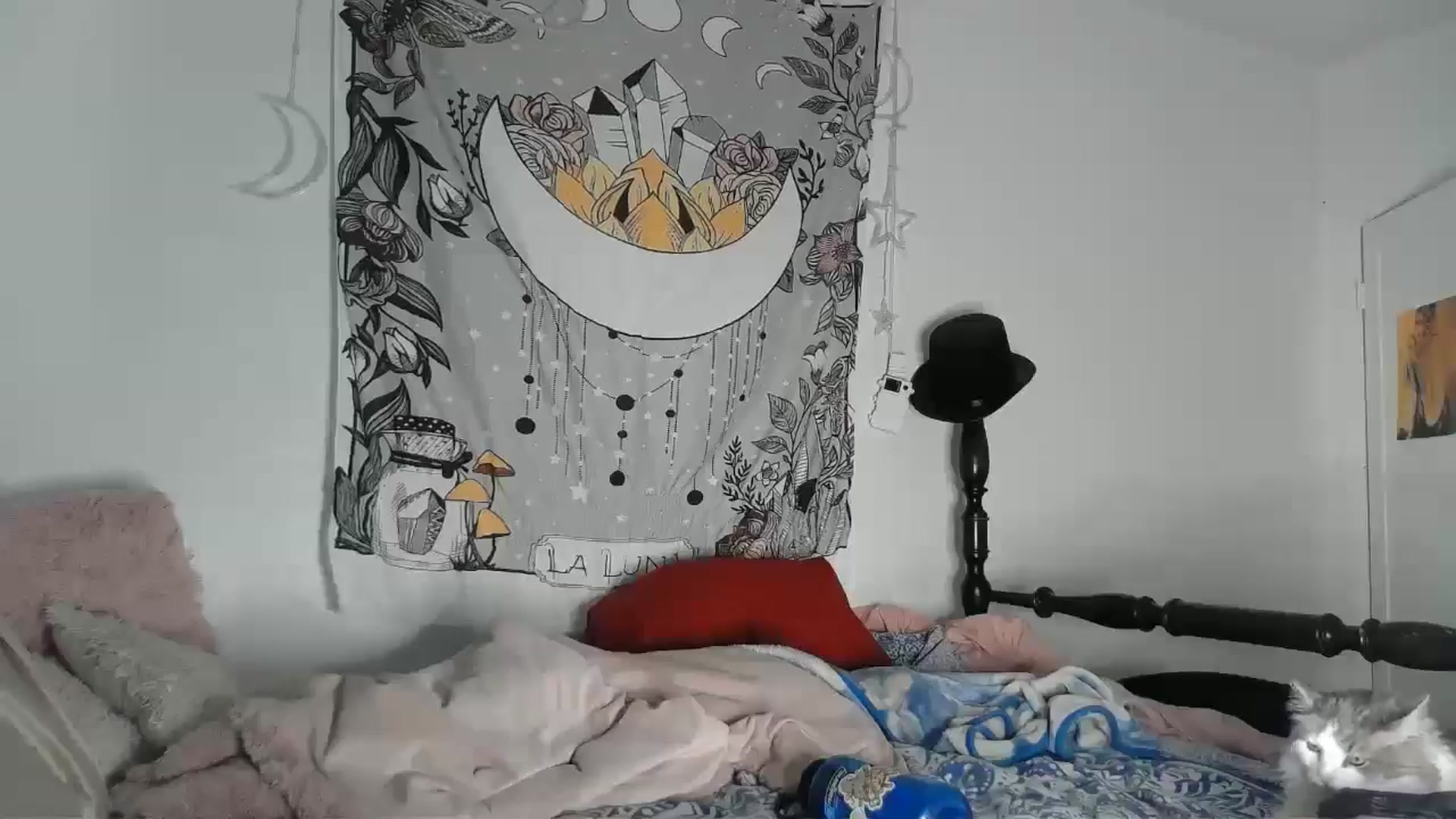 Gallery image thumbnail from TrollopTaylor's myfreecams stream on, 08/05/2024, 20:33 image 3 of 20