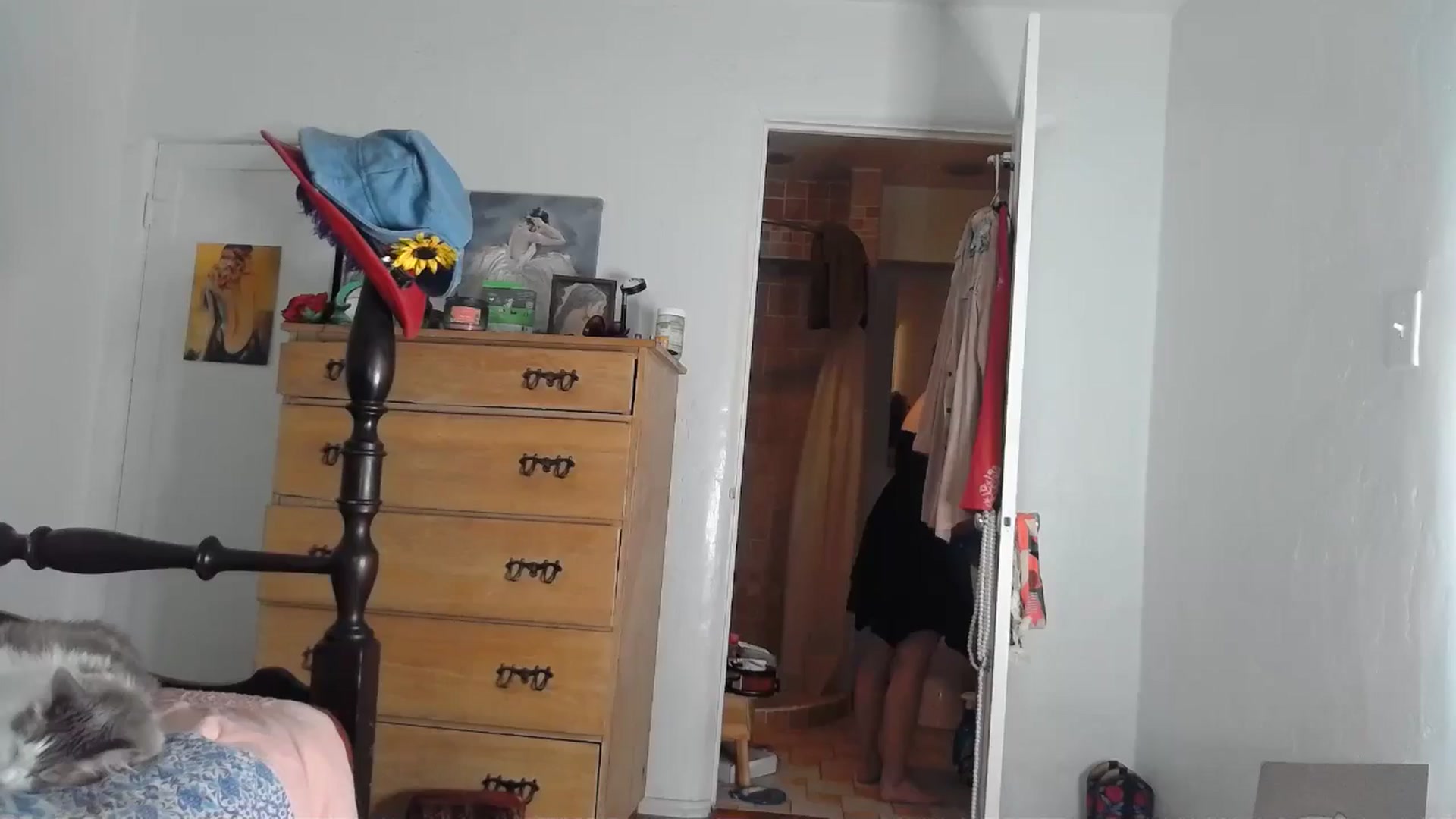 Gallery image thumbnail from TrollopTaylor's myfreecams stream on, 08/09/2024, 21:03 image 2 of 20