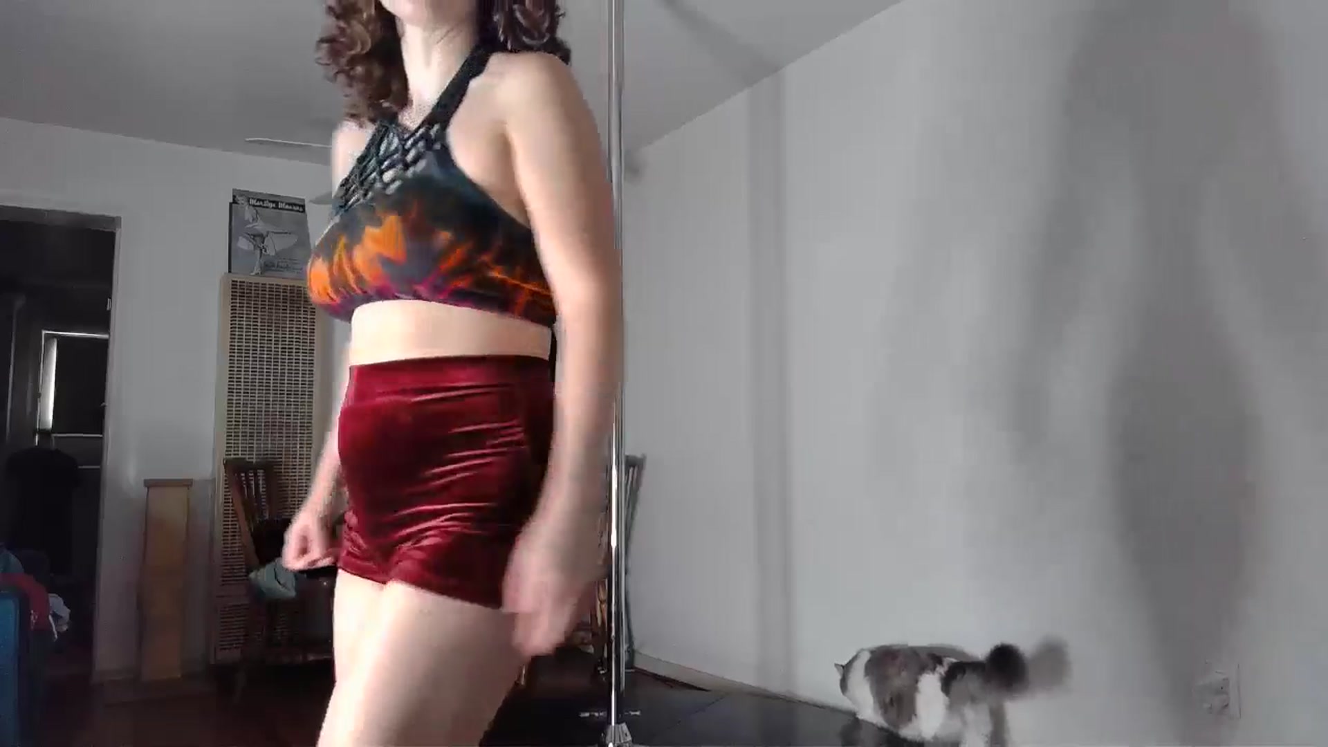 Gallery image thumbnail from TrollopTaylor's myfreecams stream on, 08/15/2024, 19:52 image 18 of 20