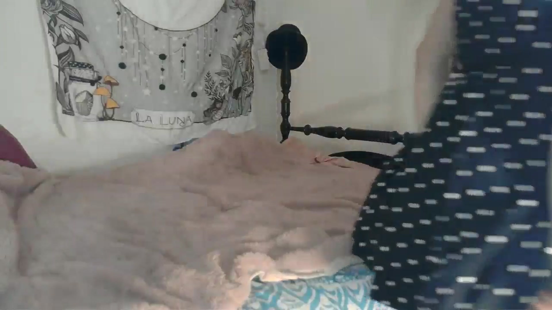 Gallery image thumbnail from TrollopTaylor's myfreecams stream on, 08/28/2024, 23:13 image 3 of 20