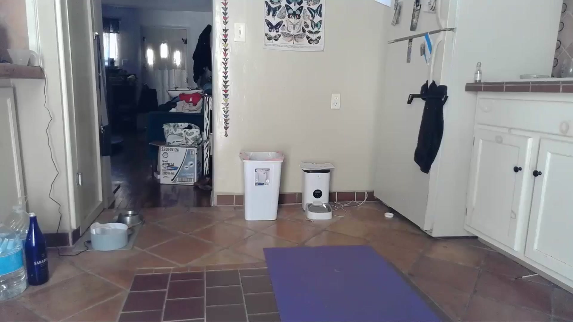 Gallery image thumbnail from TrollopTaylor's myfreecams stream on, 08/29/2024, 20:35 image 3 of 20