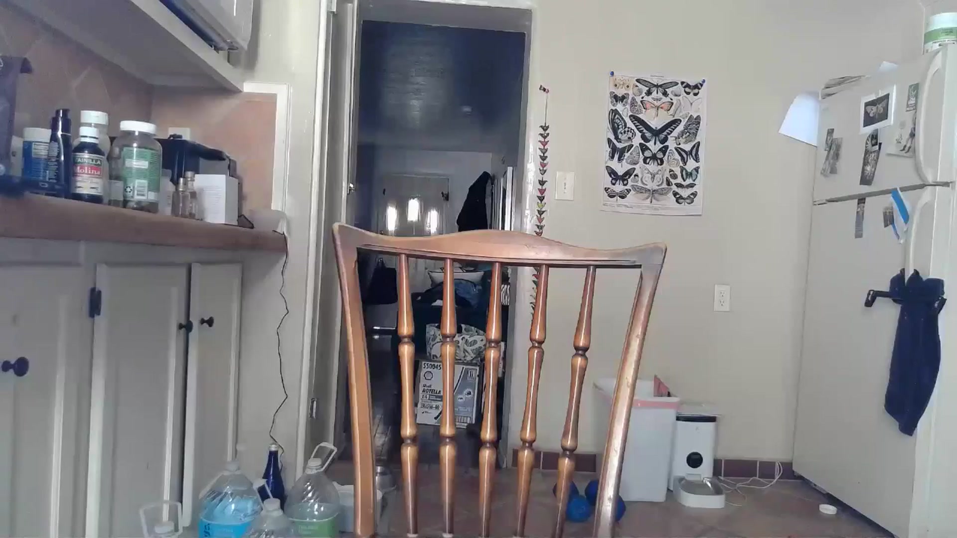 Gallery image thumbnail from TrollopTaylor's myfreecams stream on, 08/30/2024, 18:35 image 10 of 20