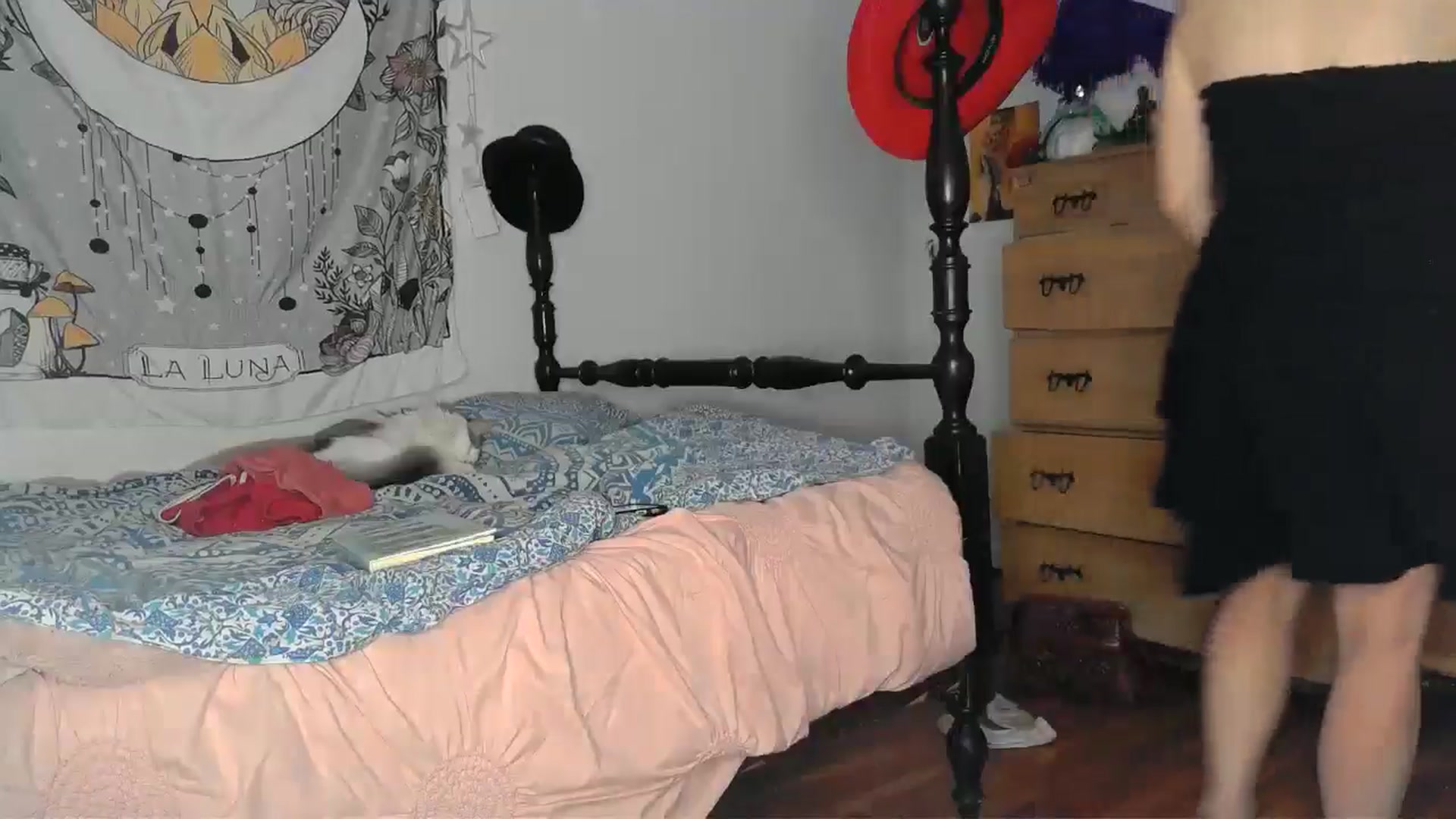 Gallery image thumbnail from TrollopTaylor's myfreecams stream on, 08/31/2024, 24:00 image 6 of 20