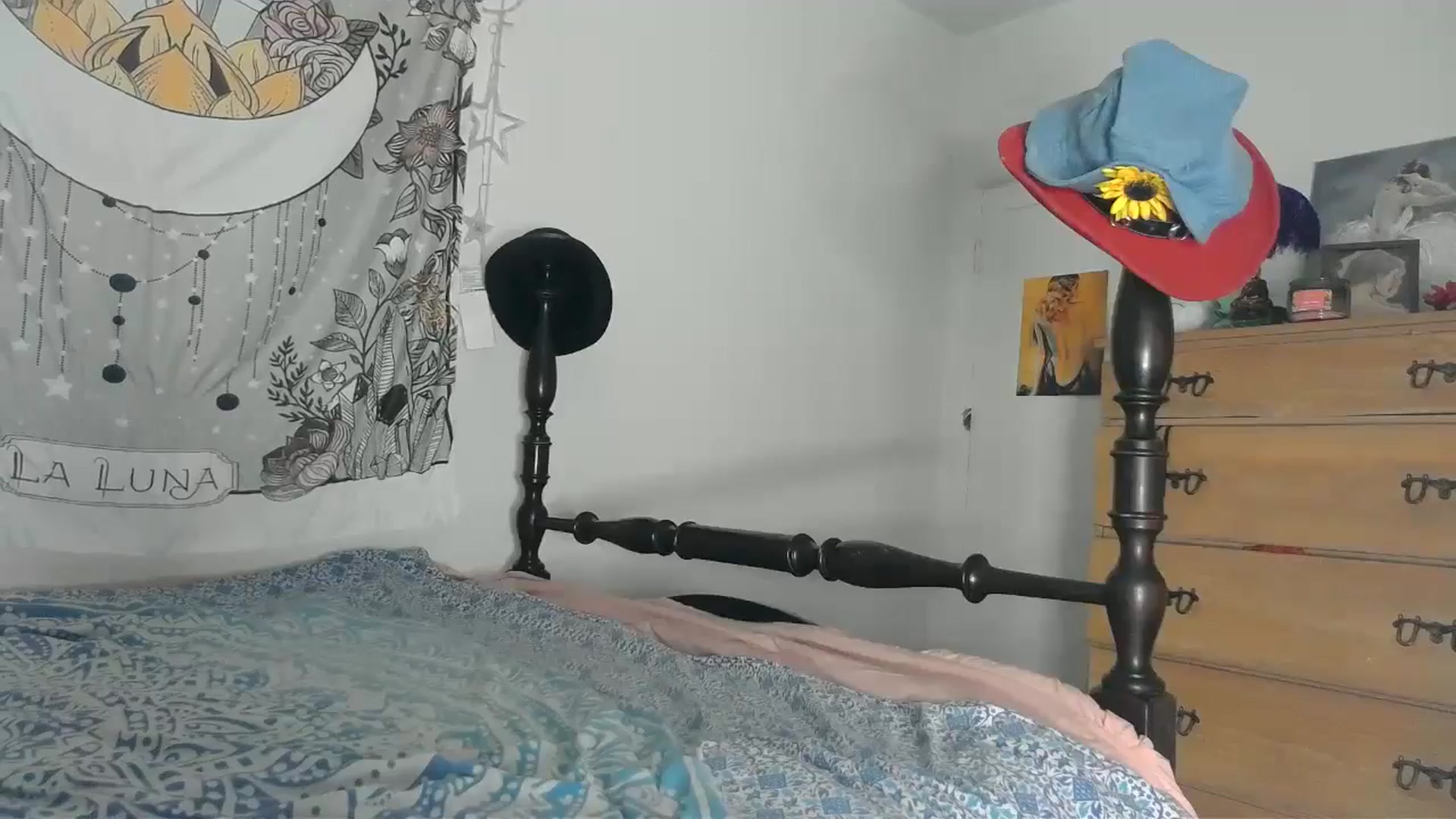 Gallery image thumbnail from TrollopTaylor's myfreecams stream on, 09/04/2024, 02:22 image 15 of 20