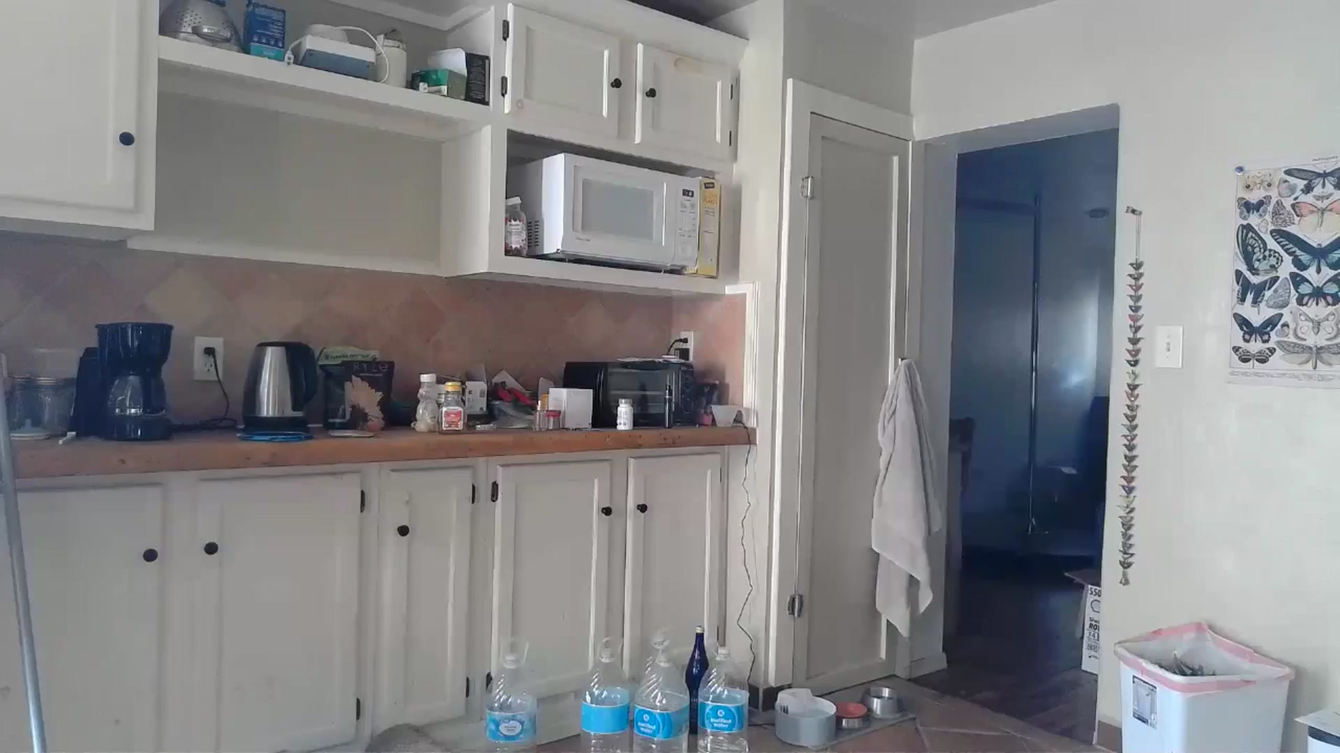 Gallery image thumbnail from TrollopTaylor's myfreecams stream on, 09/07/2024, 18:59 image 12 of 20