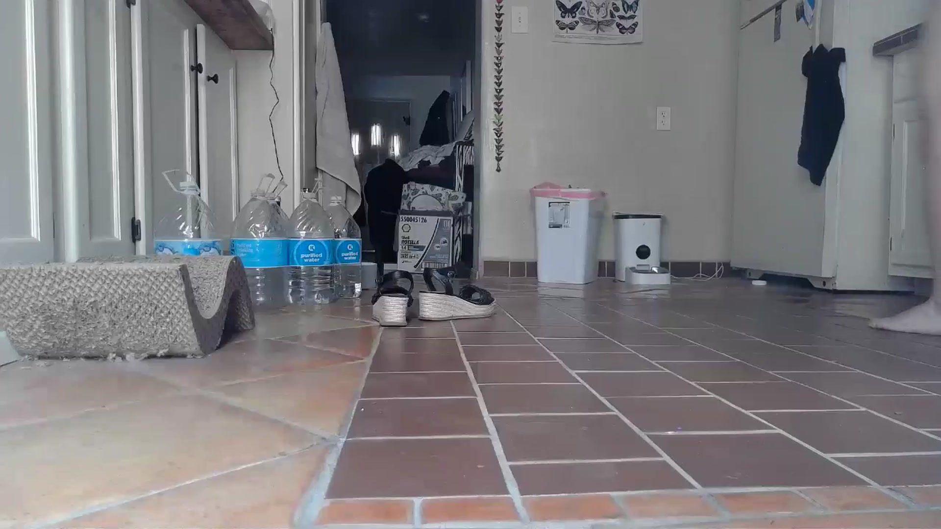 Gallery image thumbnail from TrollopTaylor's myfreecams stream on, 09/07/2024, 18:59 image 18 of 20