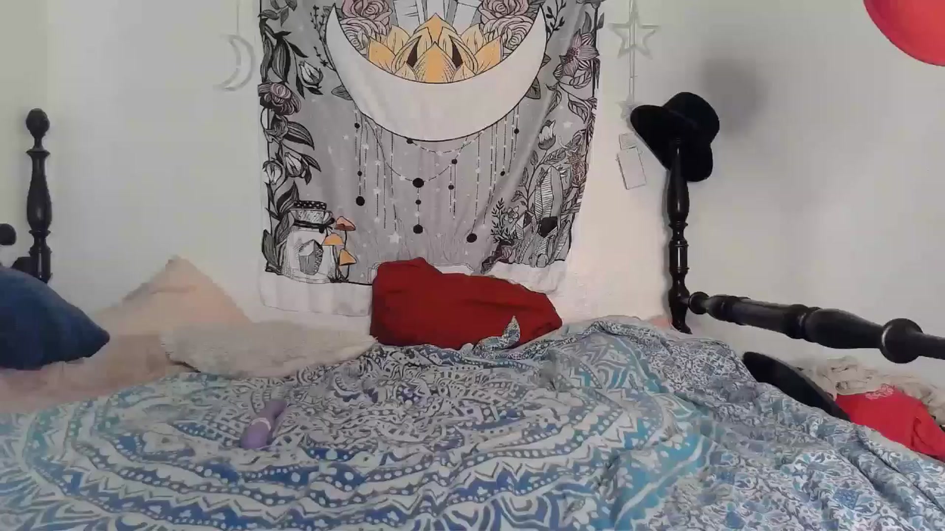 Gallery image thumbnail from TrollopTaylor's myfreecams stream on, 09/13/2024, 22:55 image 20 of 20