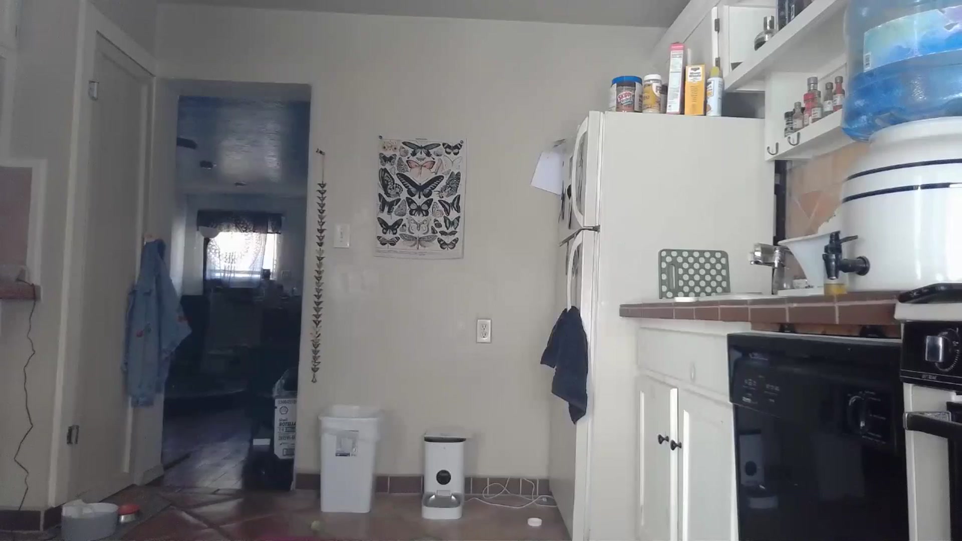 Gallery image thumbnail from TrollopTaylor's myfreecams stream on, 09/20/2024, 19:30 image 11 of 20