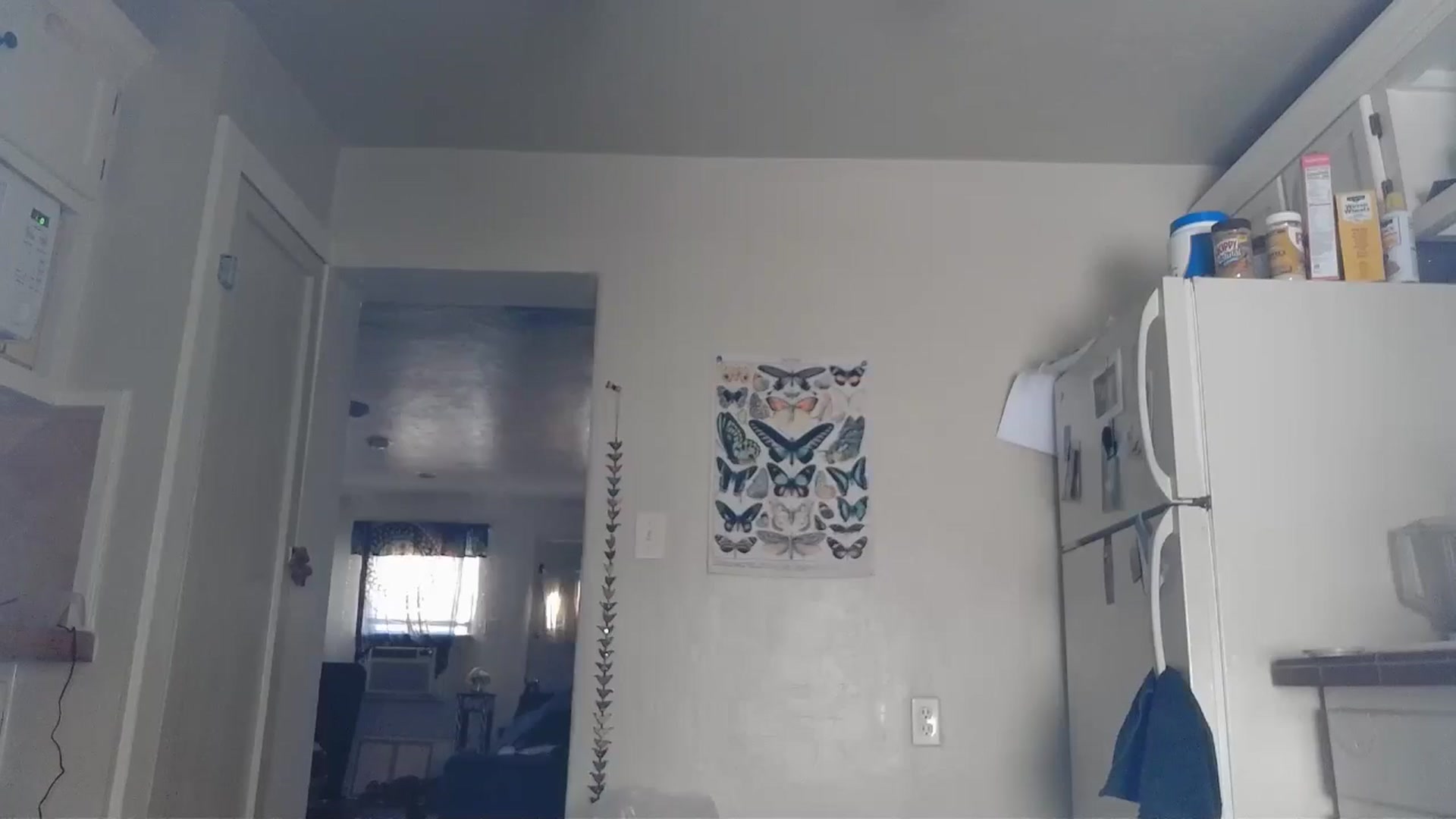 Gallery image thumbnail from TrollopTaylor's myfreecams stream on, 09/27/2024, 18:49 image 14 of 20